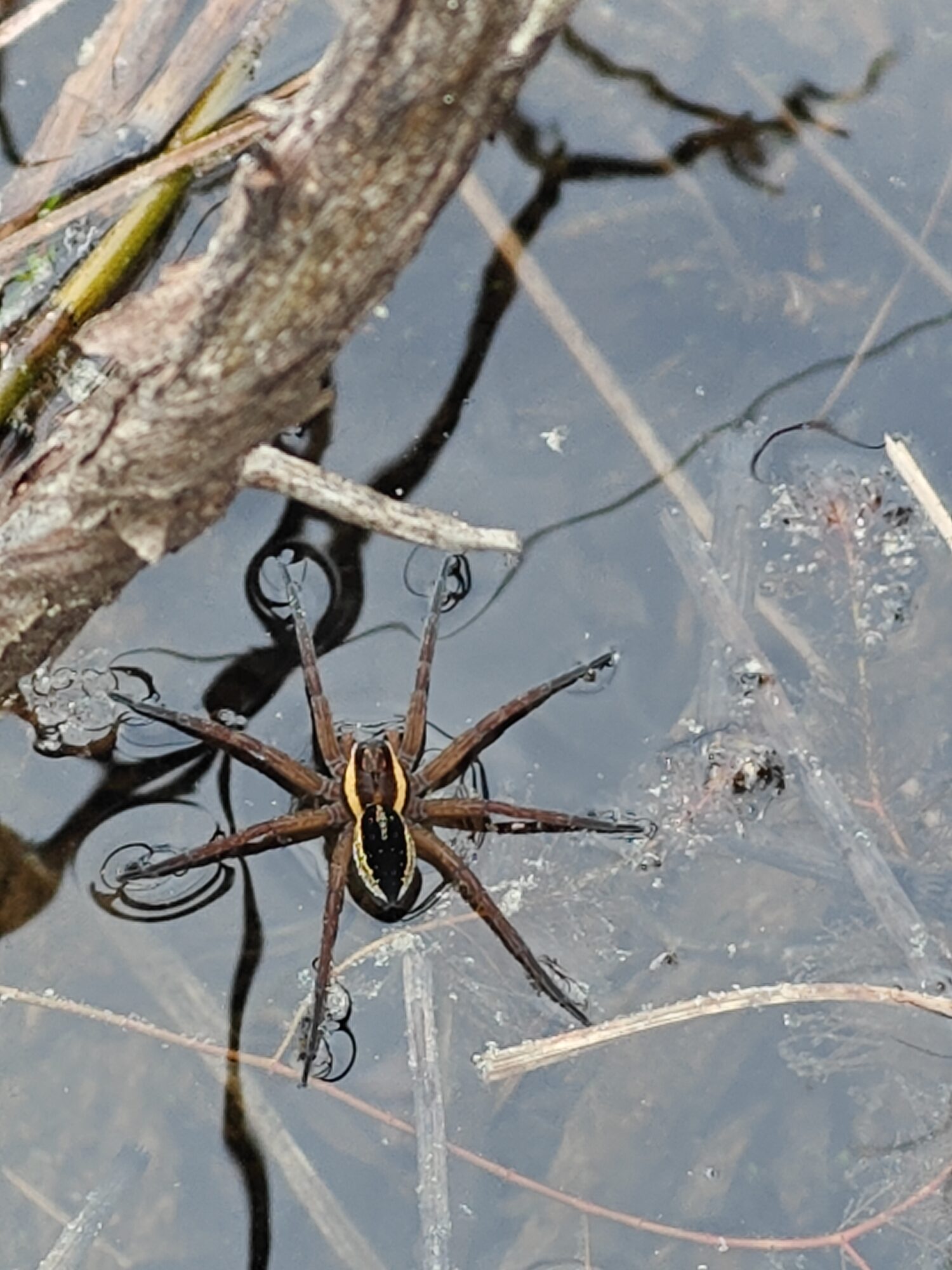 Valokuvaaja: Kimi Huttunen