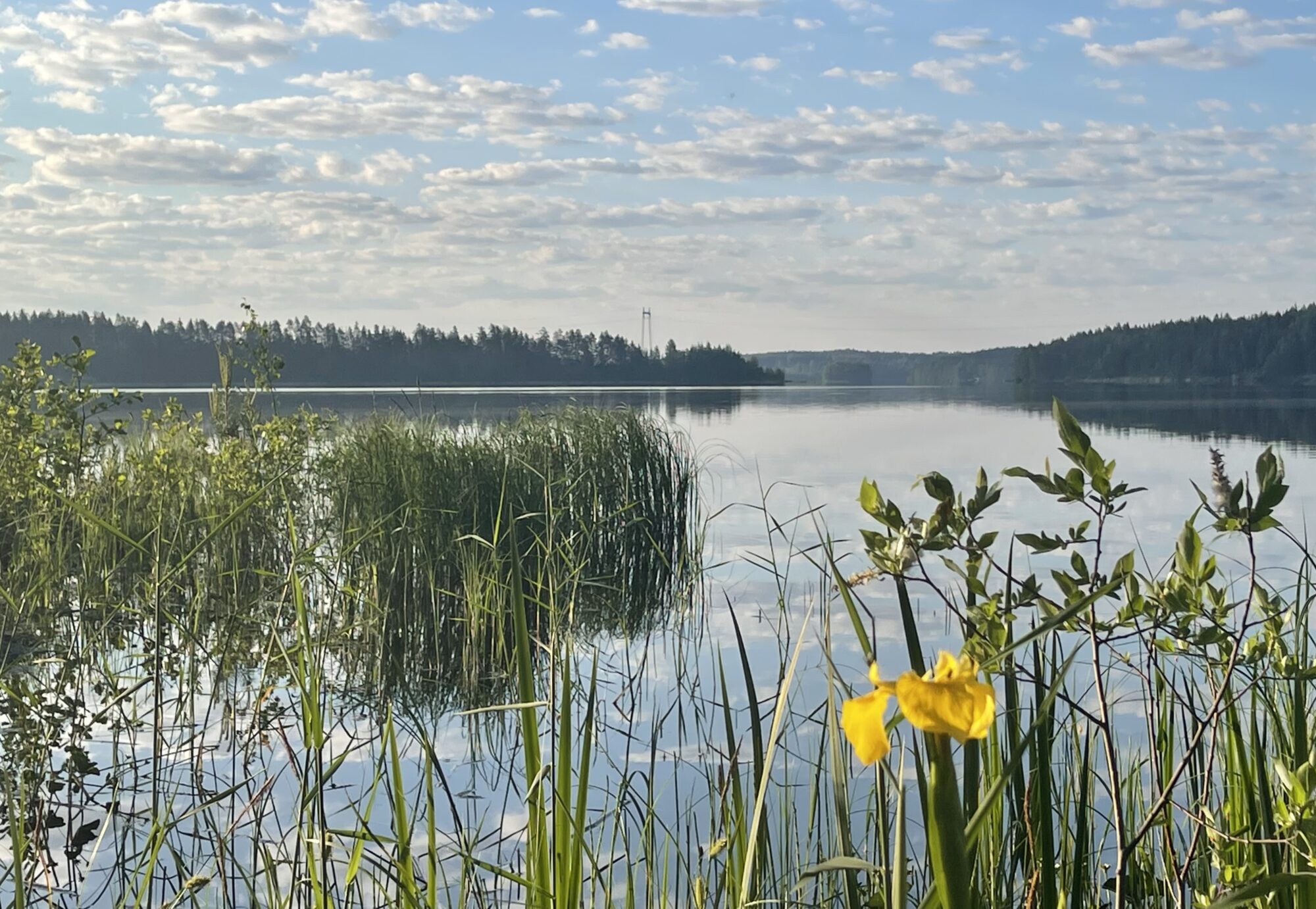 Valokuvaaja: Liisa Niiva-Korpela