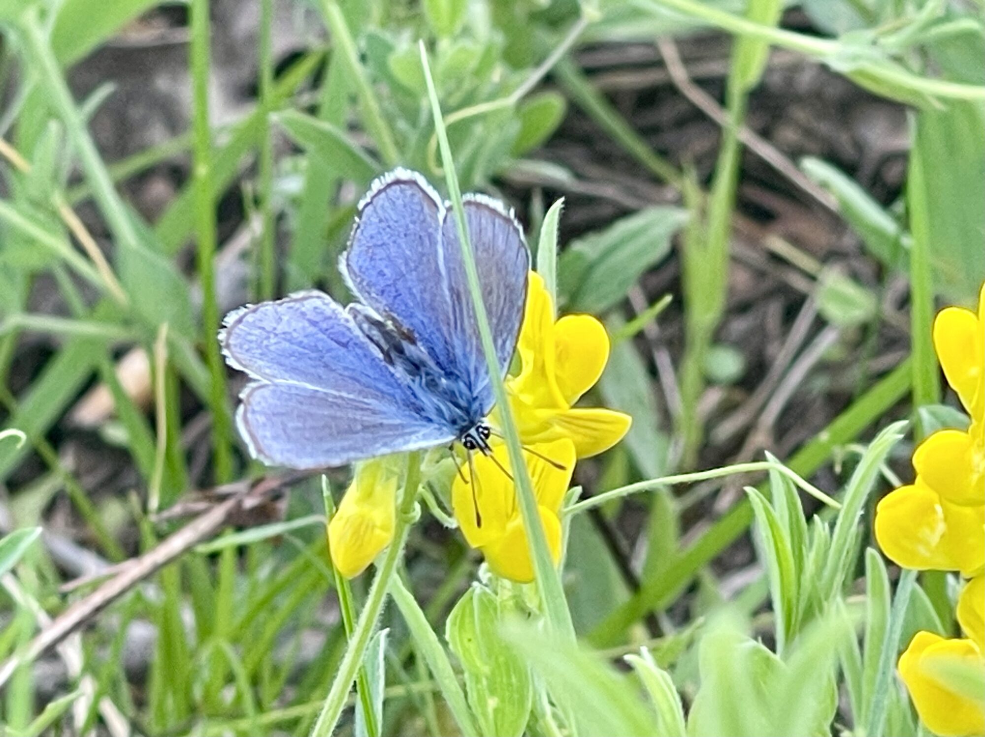 Valokuvaaja: Liisa Niiva-Korpela