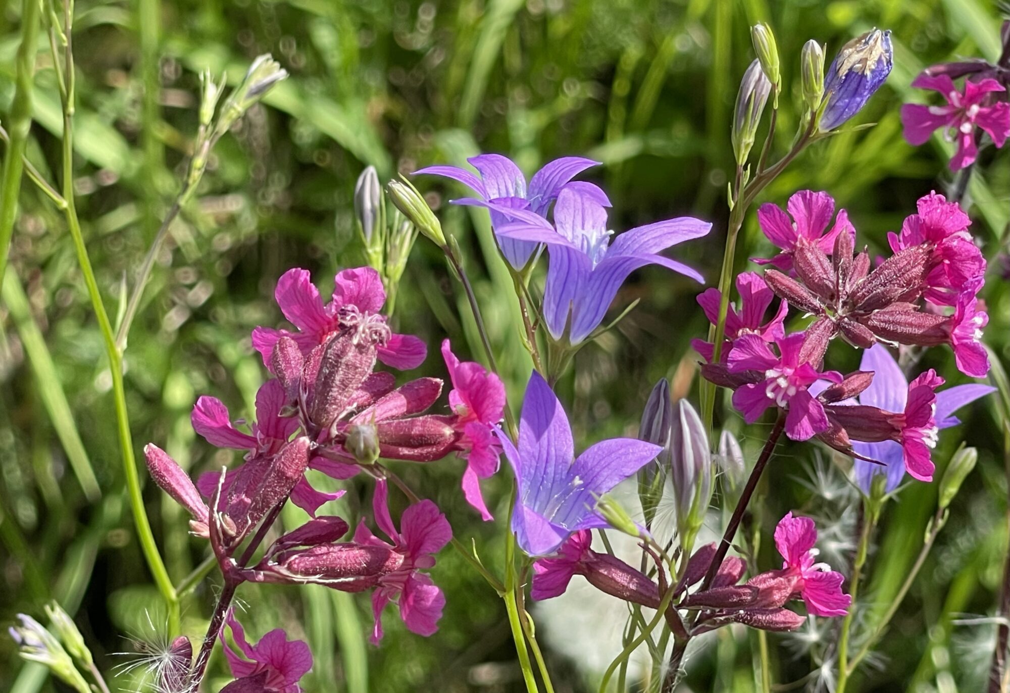 Valokuvaaja: Liisa Niiva-Korpela