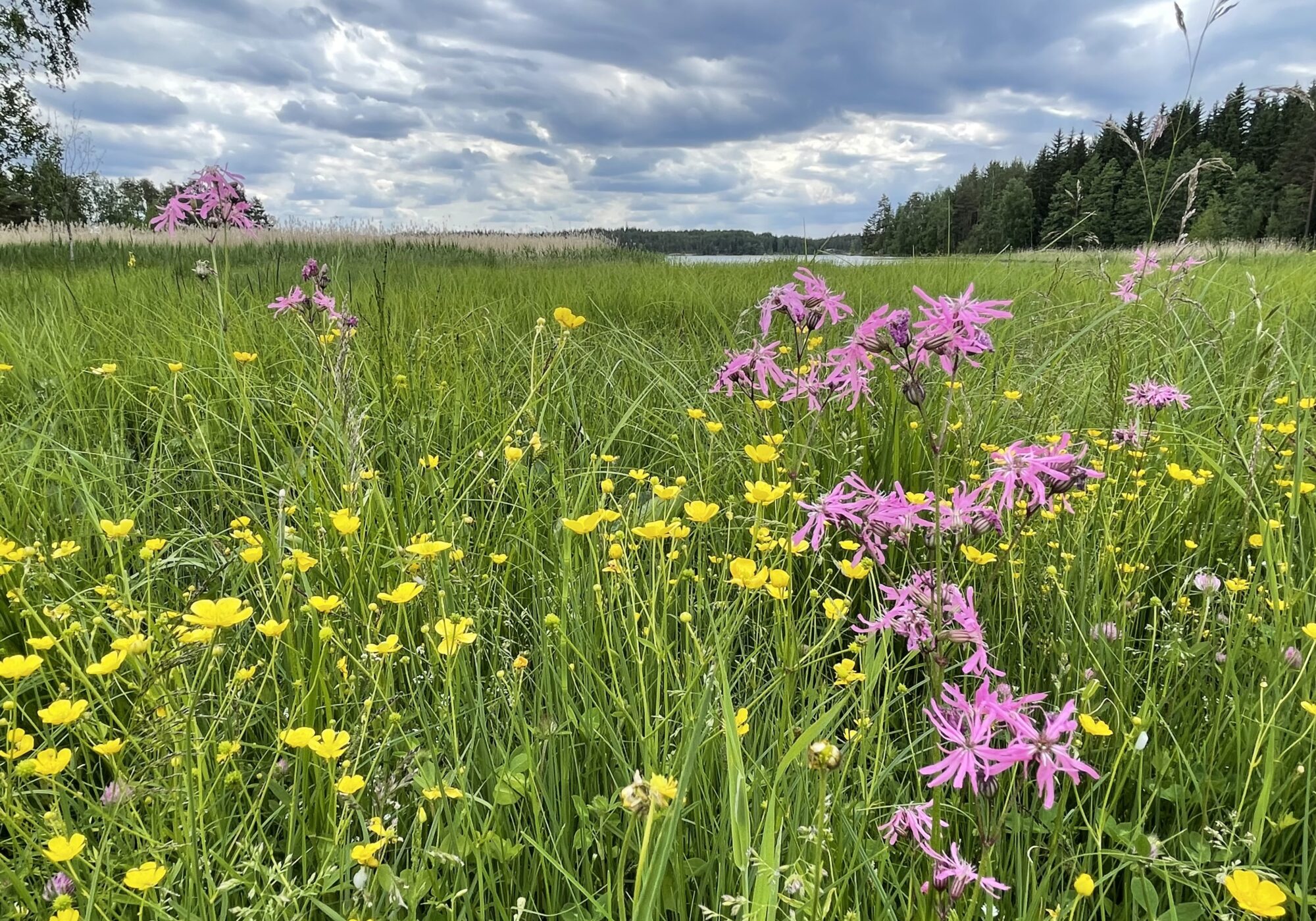 Valokuvaaja: Liisa Niiva-Korpela