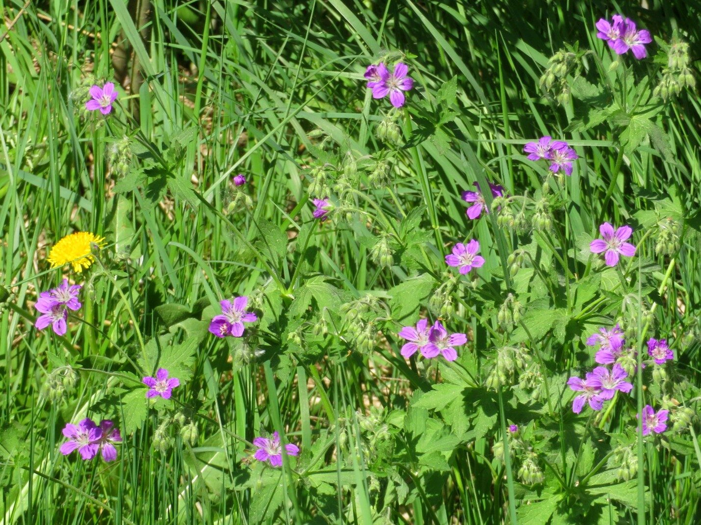 Valokuvaaja: Risto Kangassalo