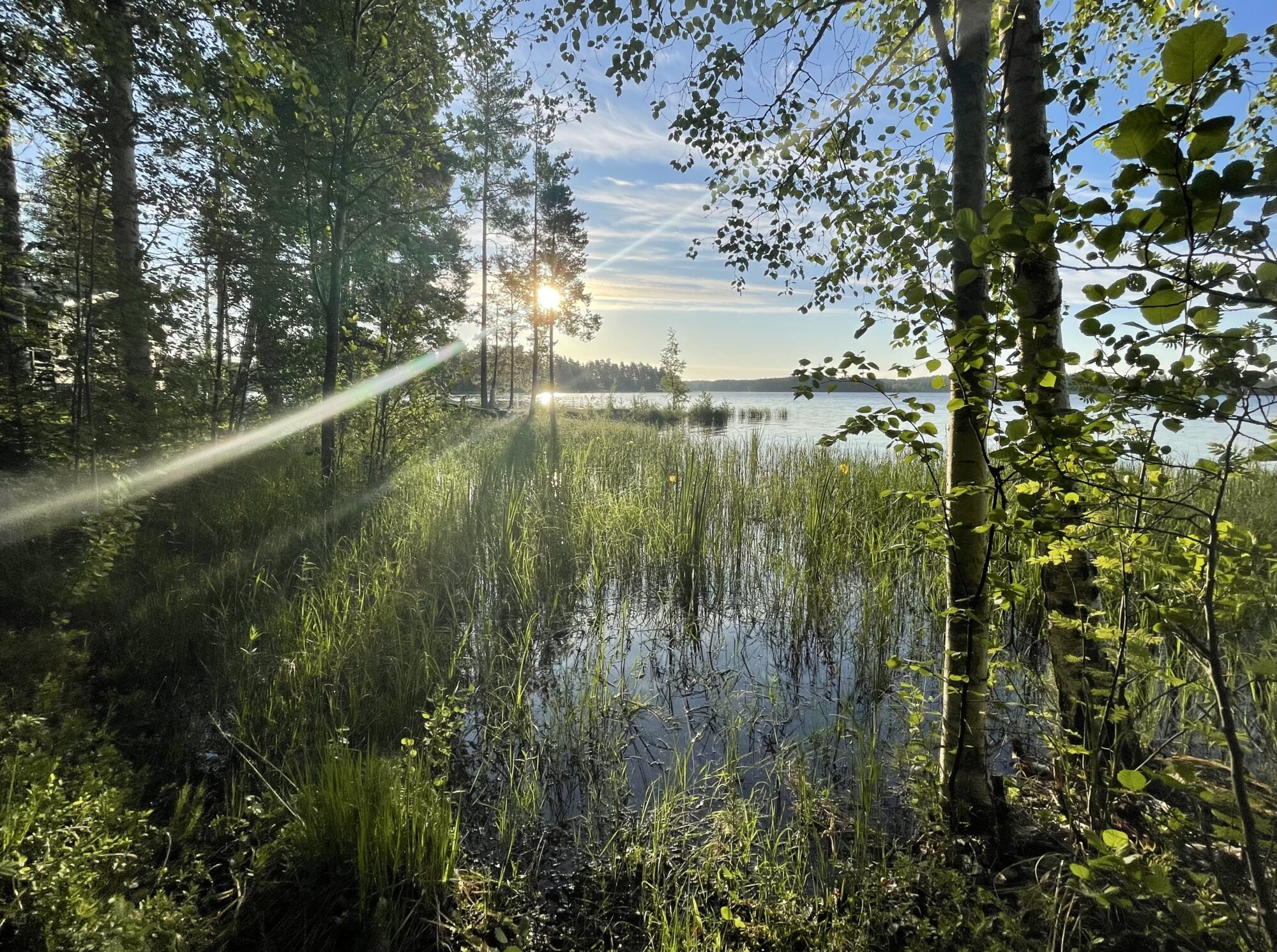 Valokuvaaja: Liisa Niiva-Korpela Valokuvaaja: Liisa Niiva-Korpela