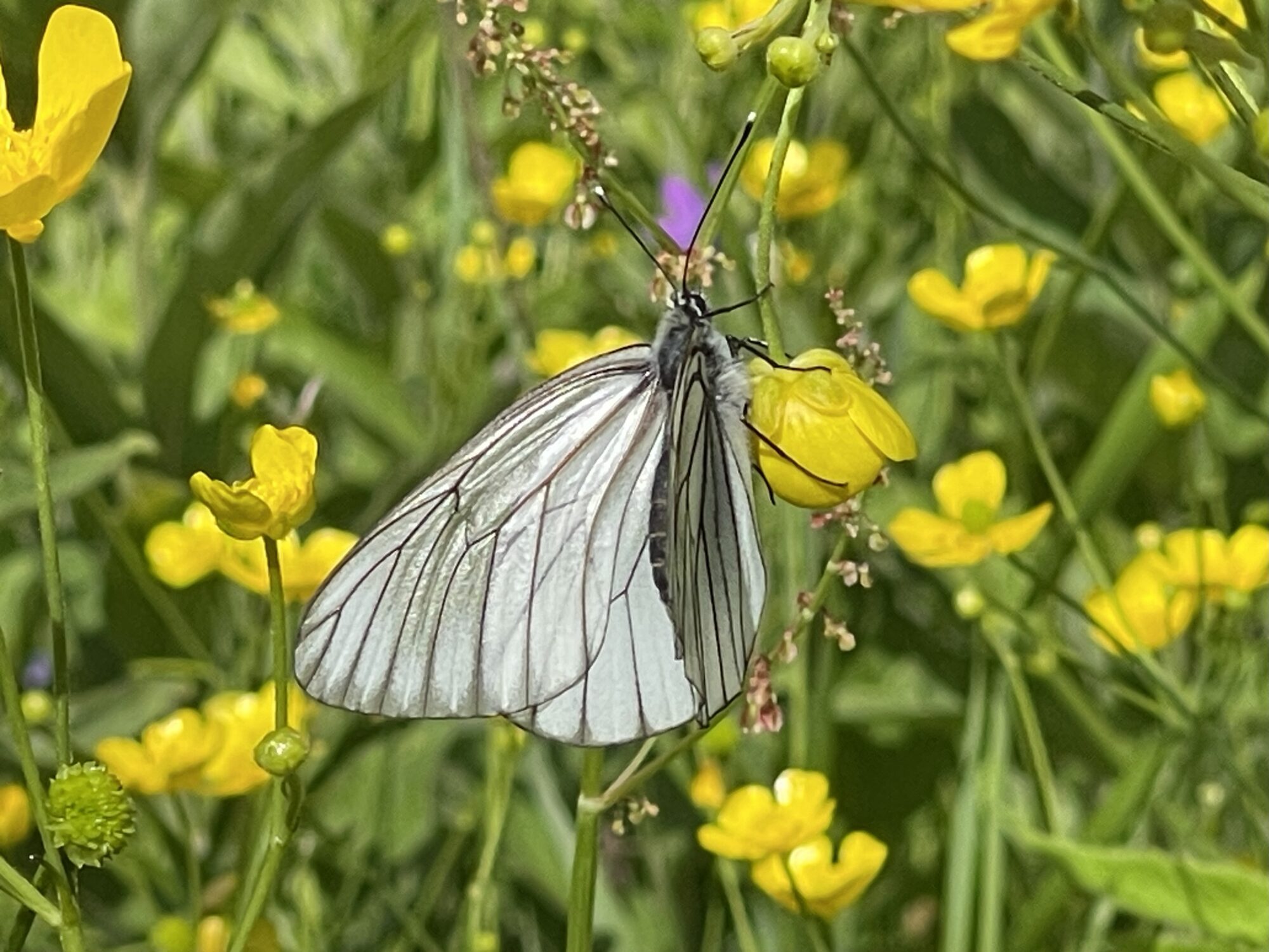 Valokuvaaja: Liisa Niiva-Korpela
