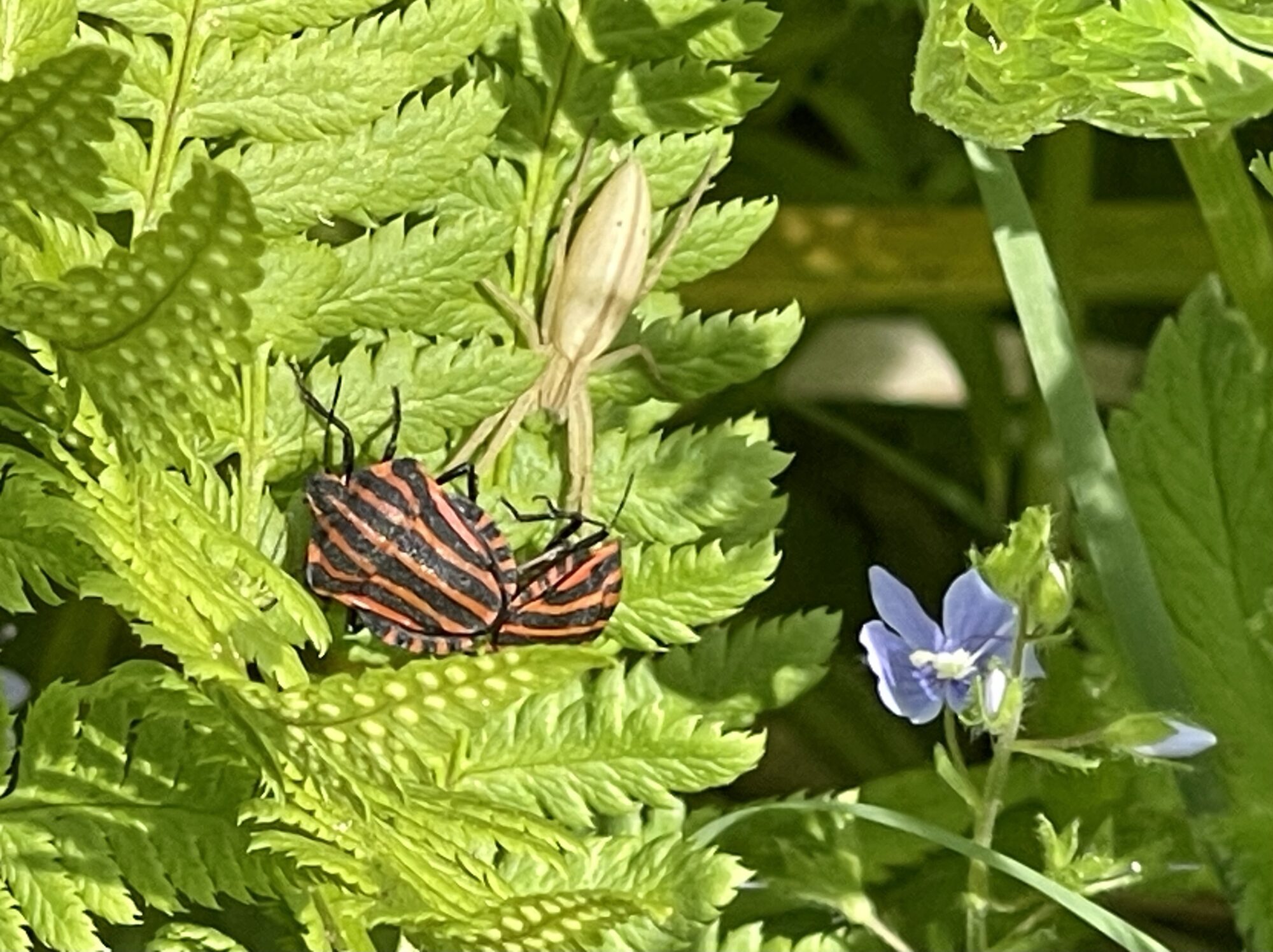 Valokuvaaja: Liisa Niiva-Korpela