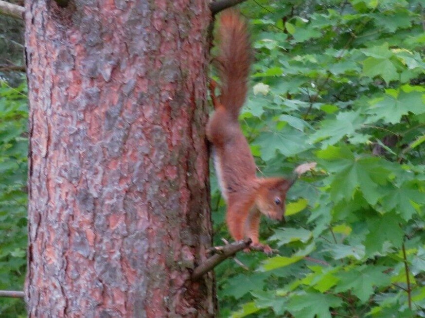 Valokuvaaja: Risto Kangassalo Valokuvaaja: Risto Kangassalo