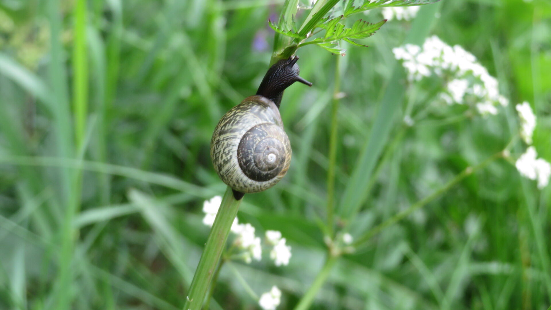 Valokuvaaja: Risto Kangassalo