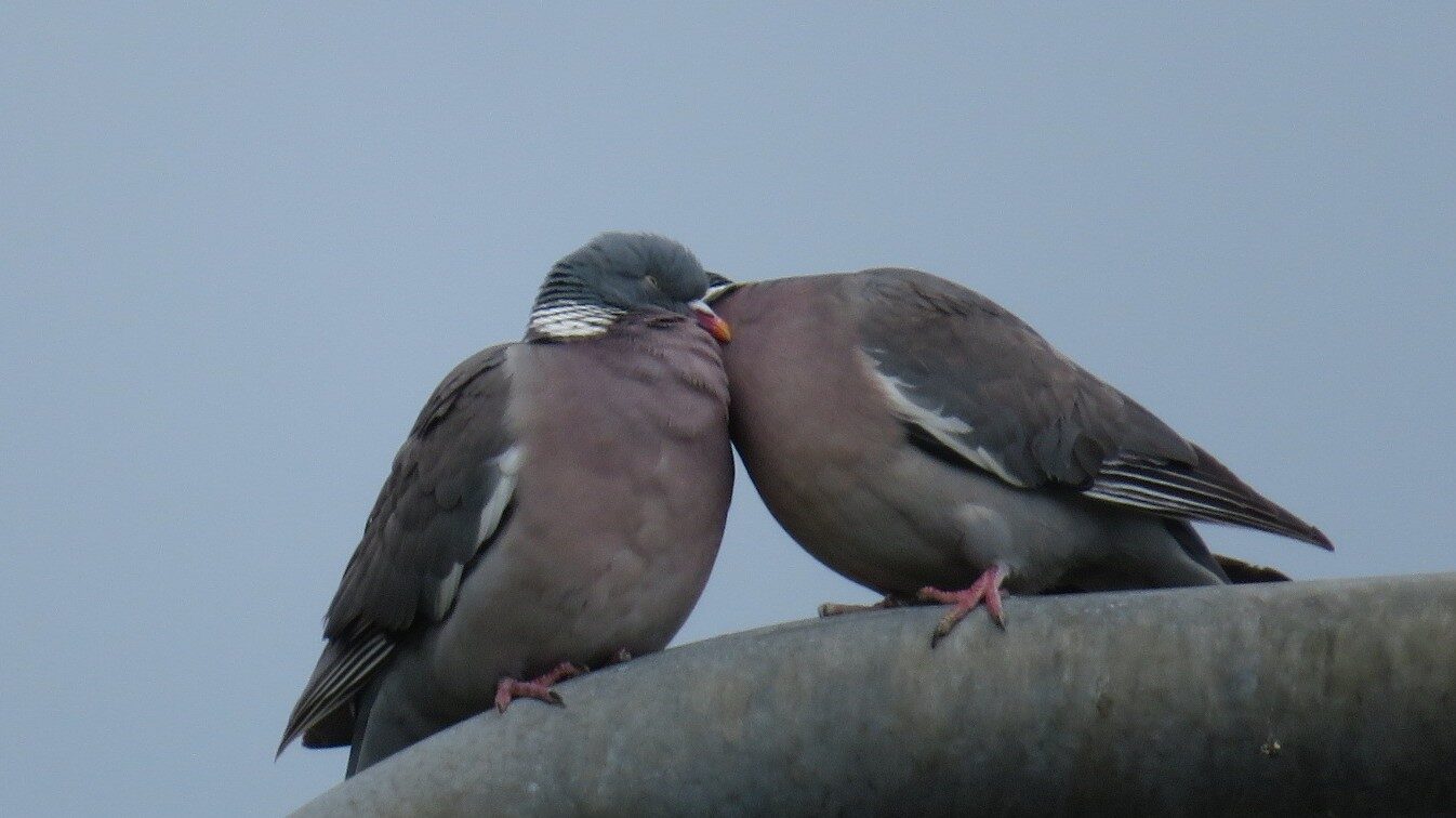 Valokuvaaja: Risto Kangassalo Valokuvaaja: Risto Kangassalo