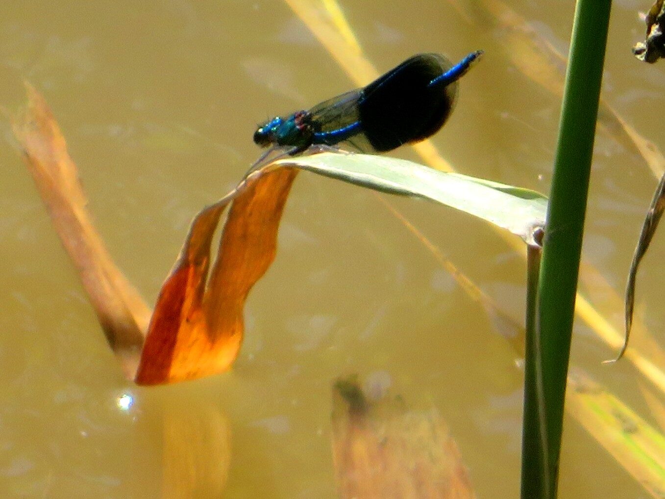 Valokuvaaja: Risto Kangassalo