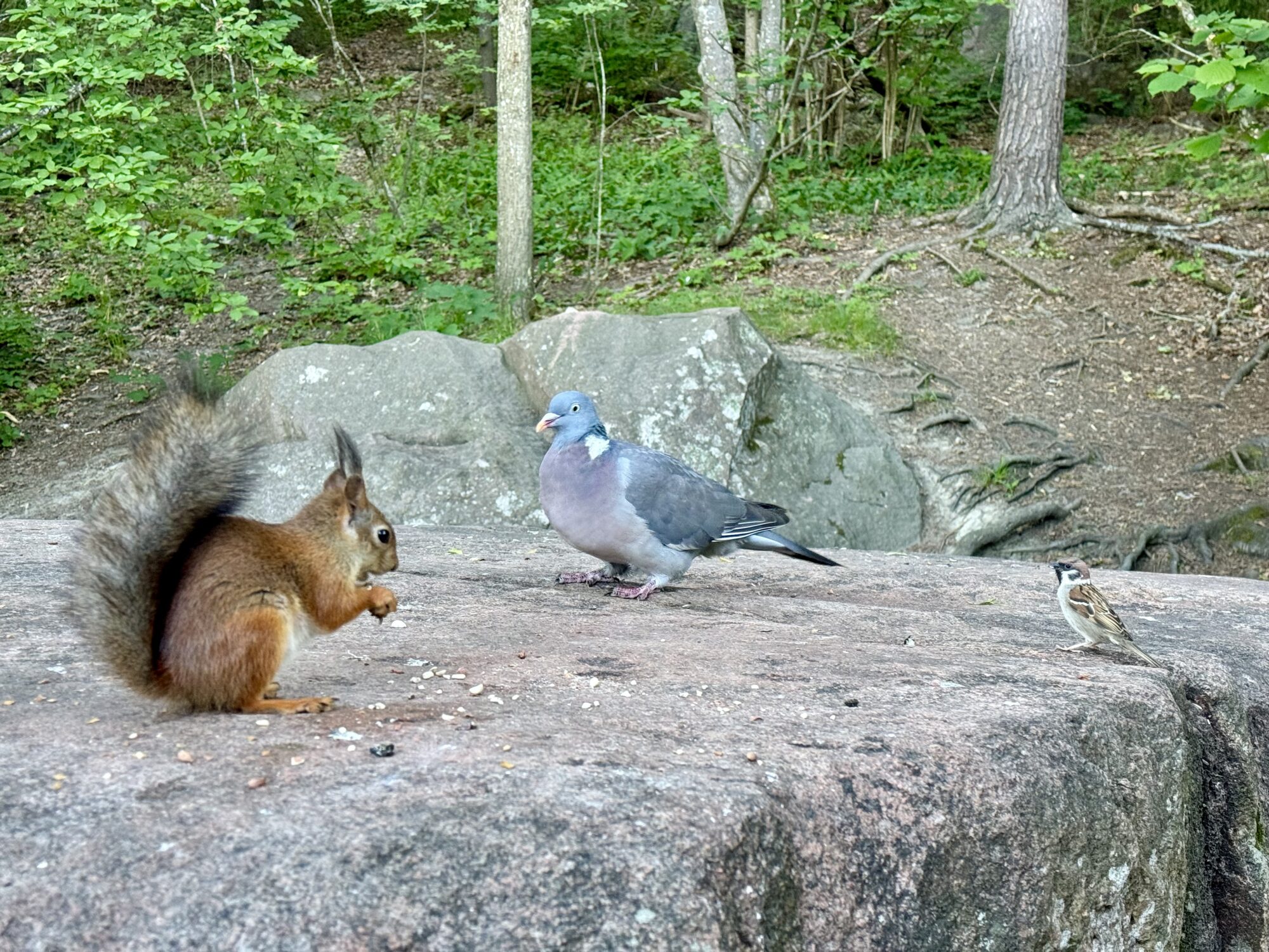 Valokuvaaja: Juhani Peltonen