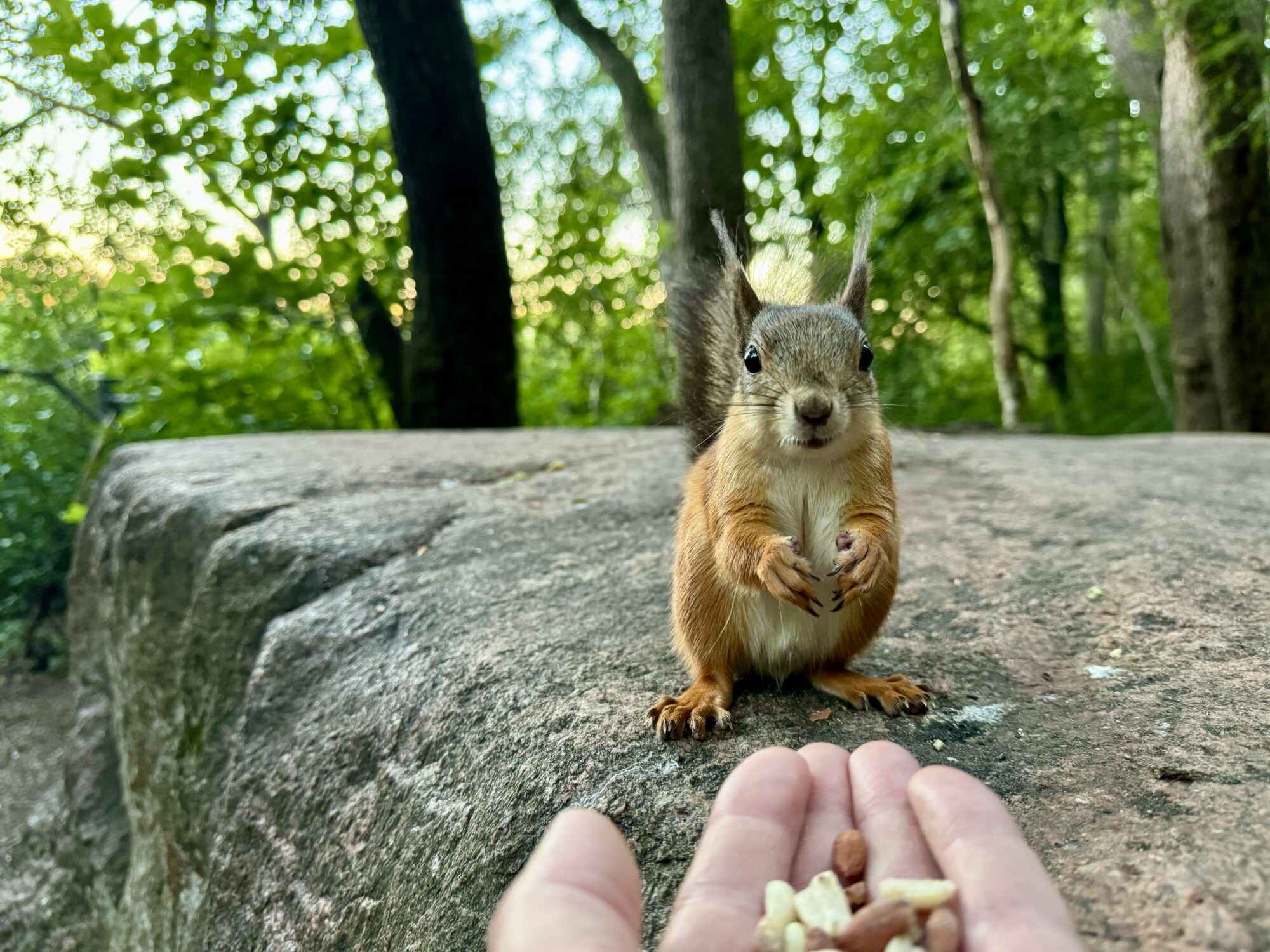 Valokuvaaja: Juhani Peltonen