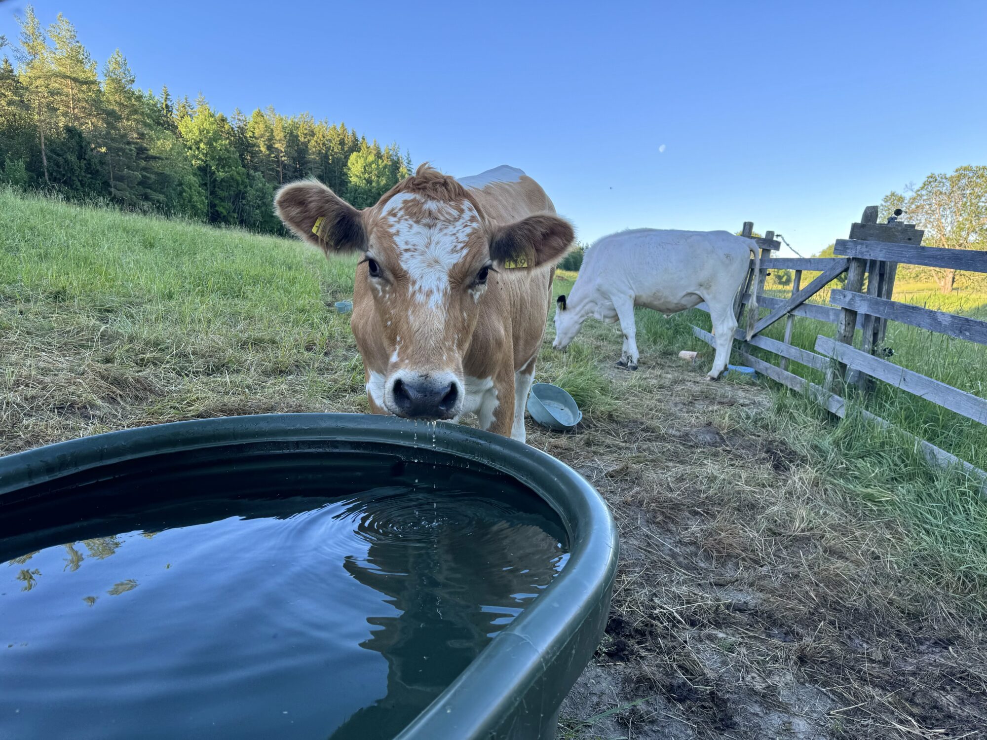 Valokuvaaja: Juhani Peltonen Valokuvaaja: Juhani Peltonen