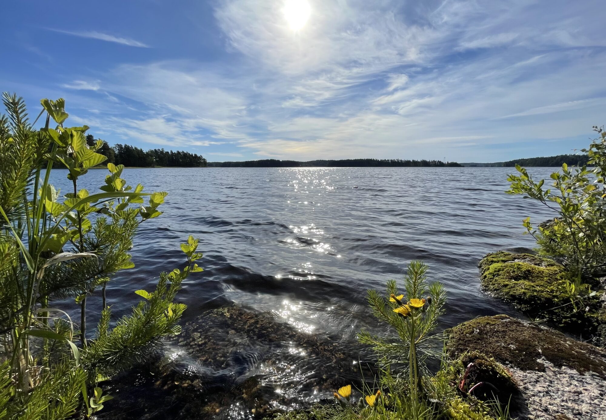 Valokuvaaja: Liisa Niiva-Korpela