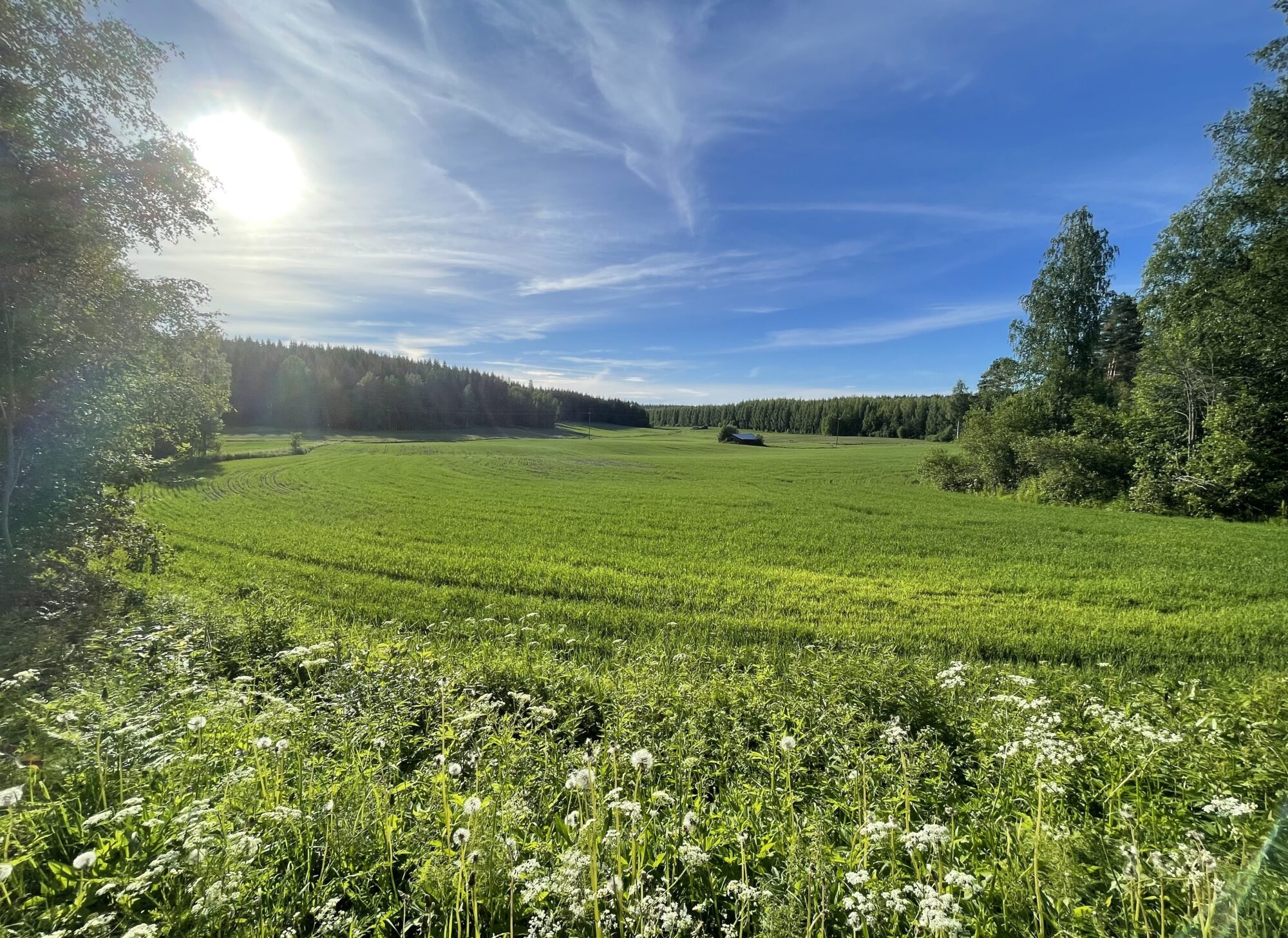 Valokuvaaja: Liisa Niiva-Korpela
