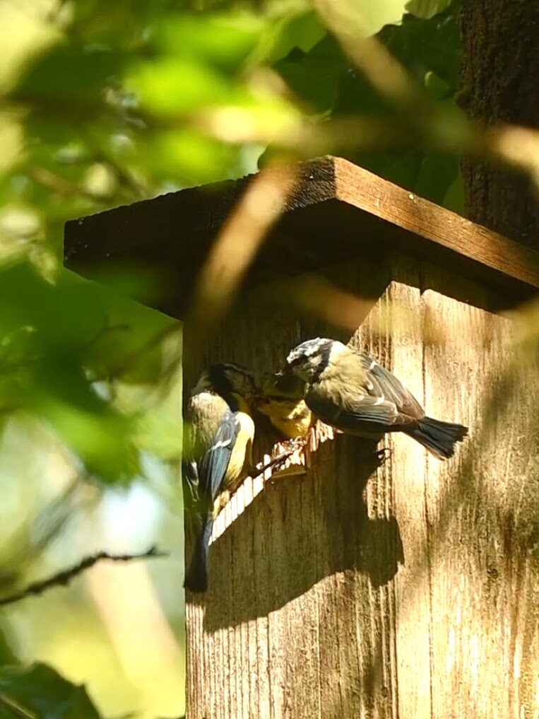Valokuvaaja: Emilia Miettinen