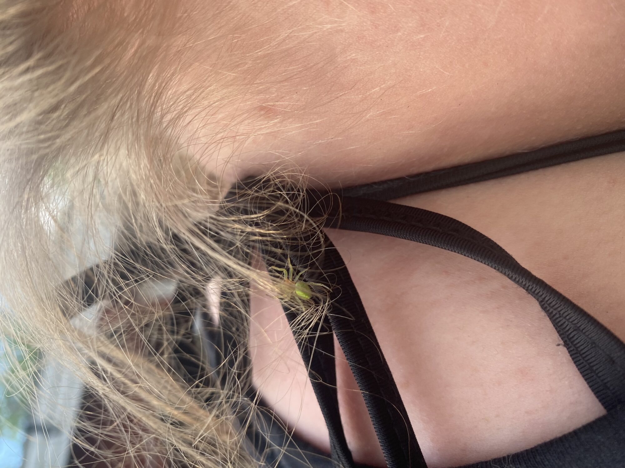 Valokuvaaja: Kirsi Krunniniva