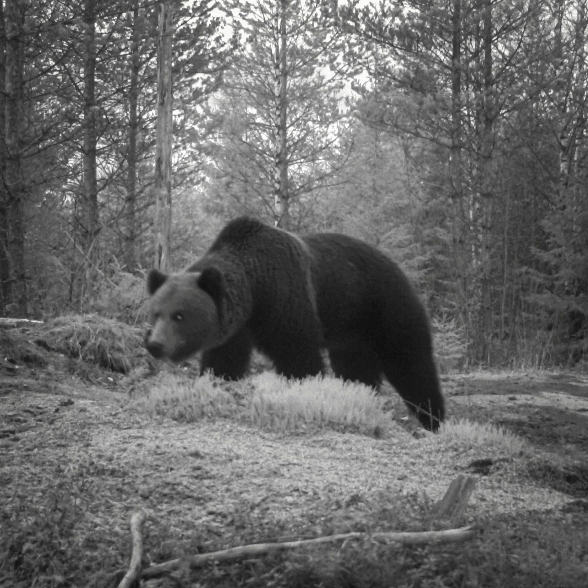 Valokuvaaja: Harri vuorela Valokuvaaja: Harri vuorela