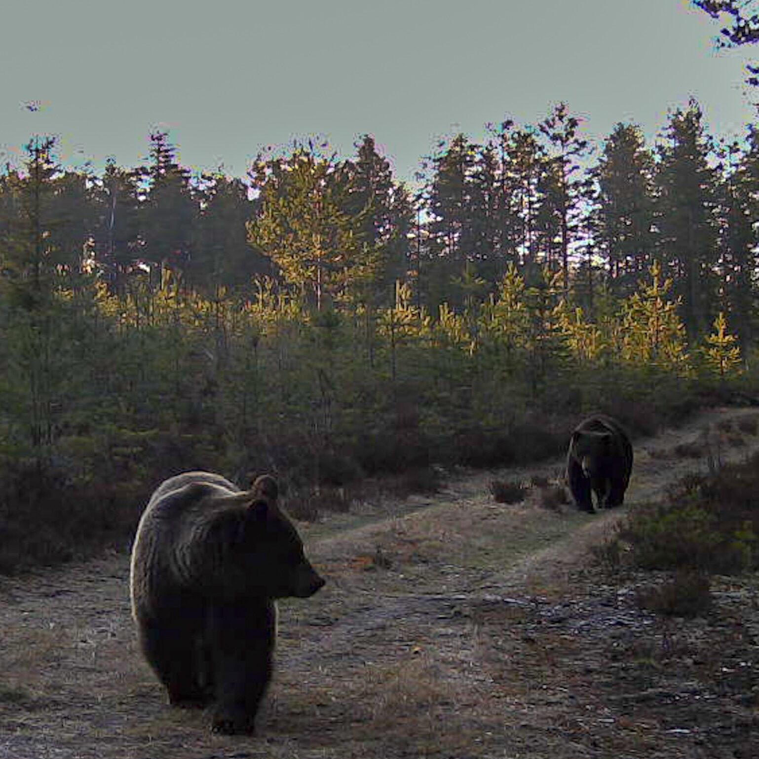 Valokuvaaja: Harri Vuorela