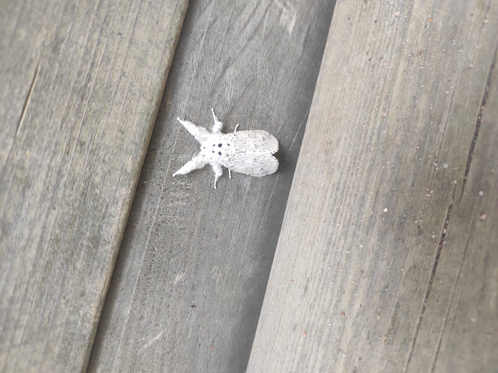 Valokuvaaja: Arja Mikkola-Lehtinen