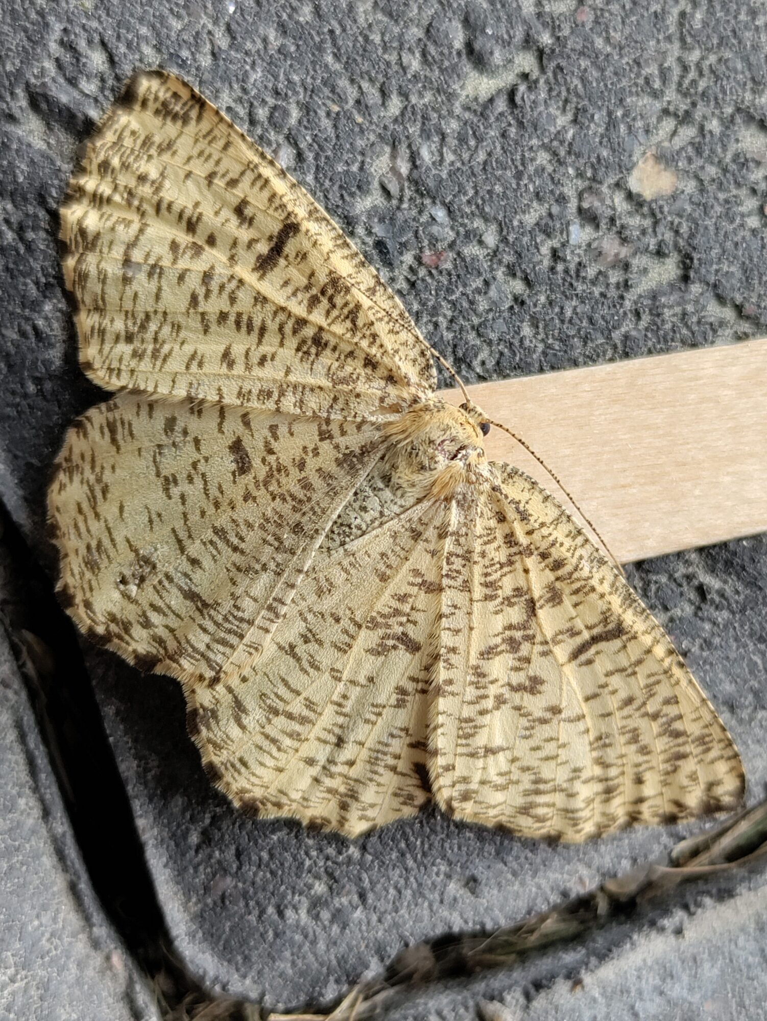 Valokuvaaja: Sanna Valokuvaaja: Sanna