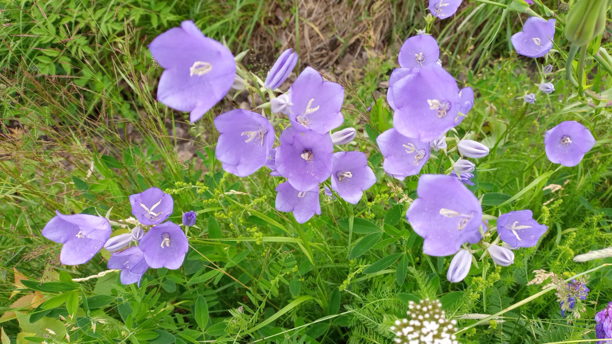 Valokuvaaja: Heli Lehtonen