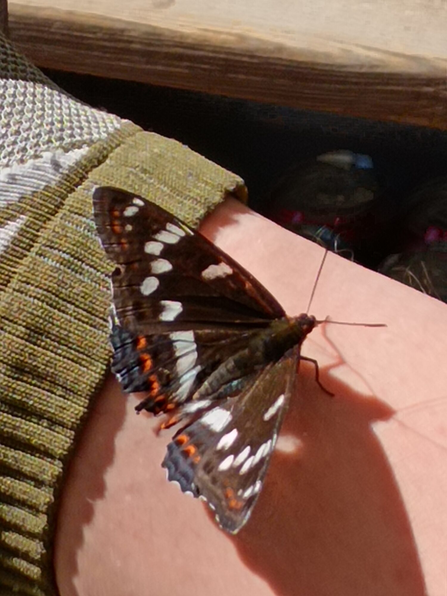 Valokuvaaja: Katja Turunen