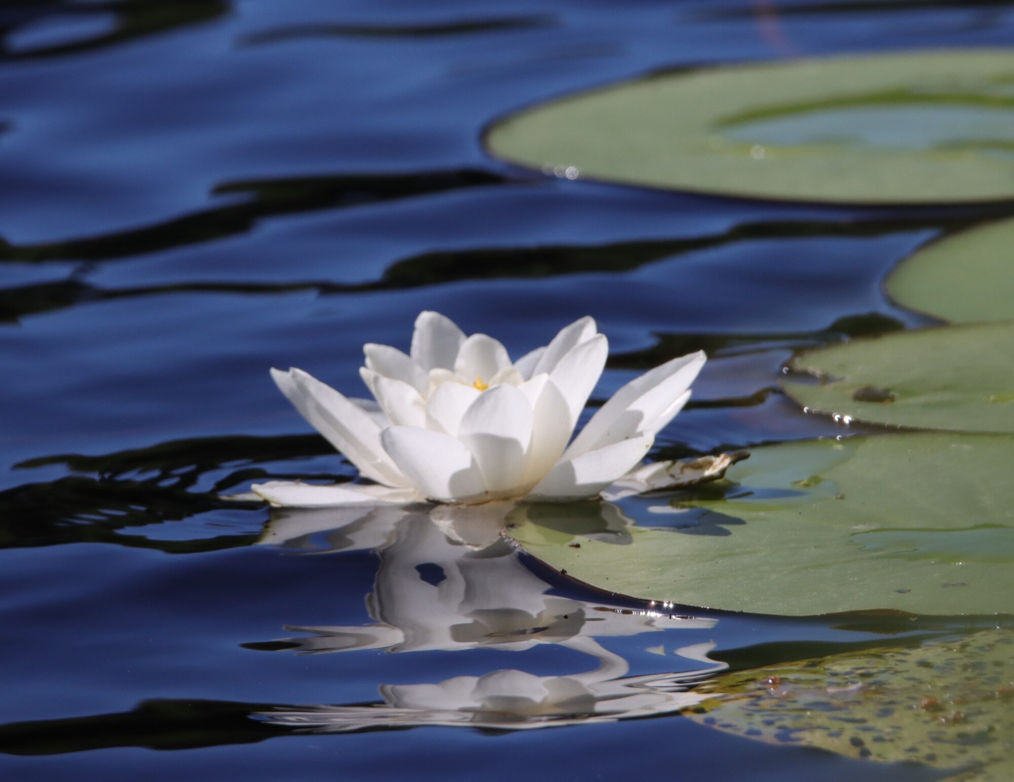 Valokuvaaja: Irja Lehtinen Valokuvaaja: Irja Lehtinen