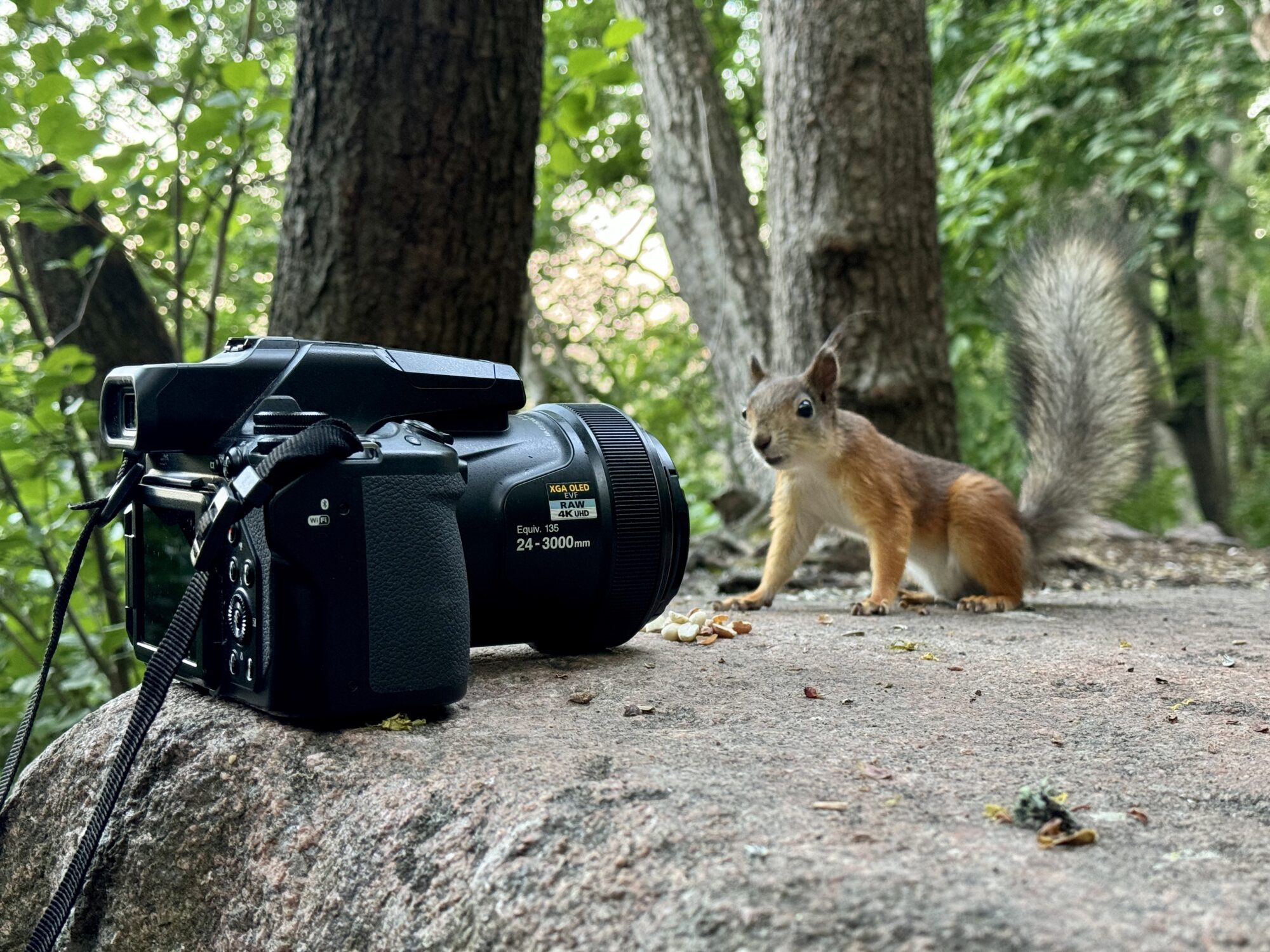 Valokuvaaja: Juhani Peltonen
