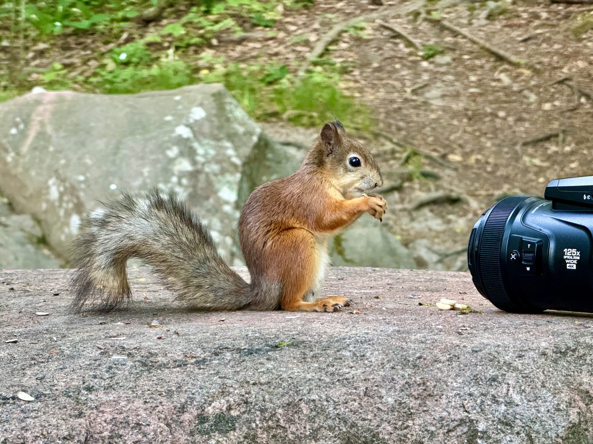 Valokuvaaja: Juhani Peltonen
