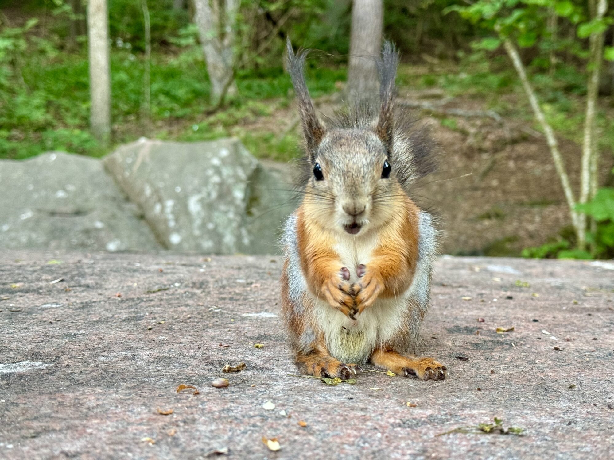 Valokuvaaja: Juhani Peltonen