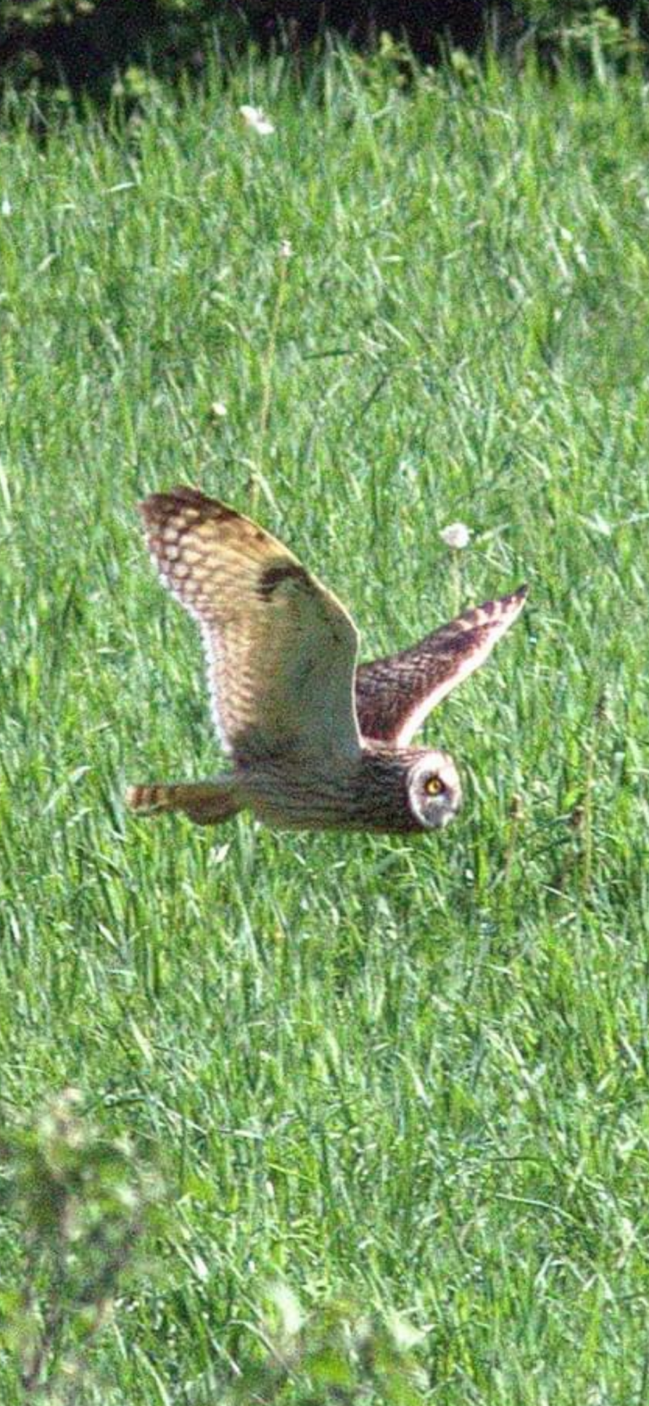 Valokuvaaja: Tapio Keinonen