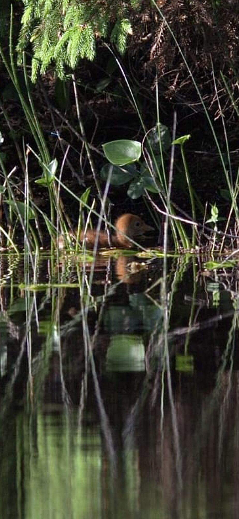 Valokuvaaja: Tapio Keinonen