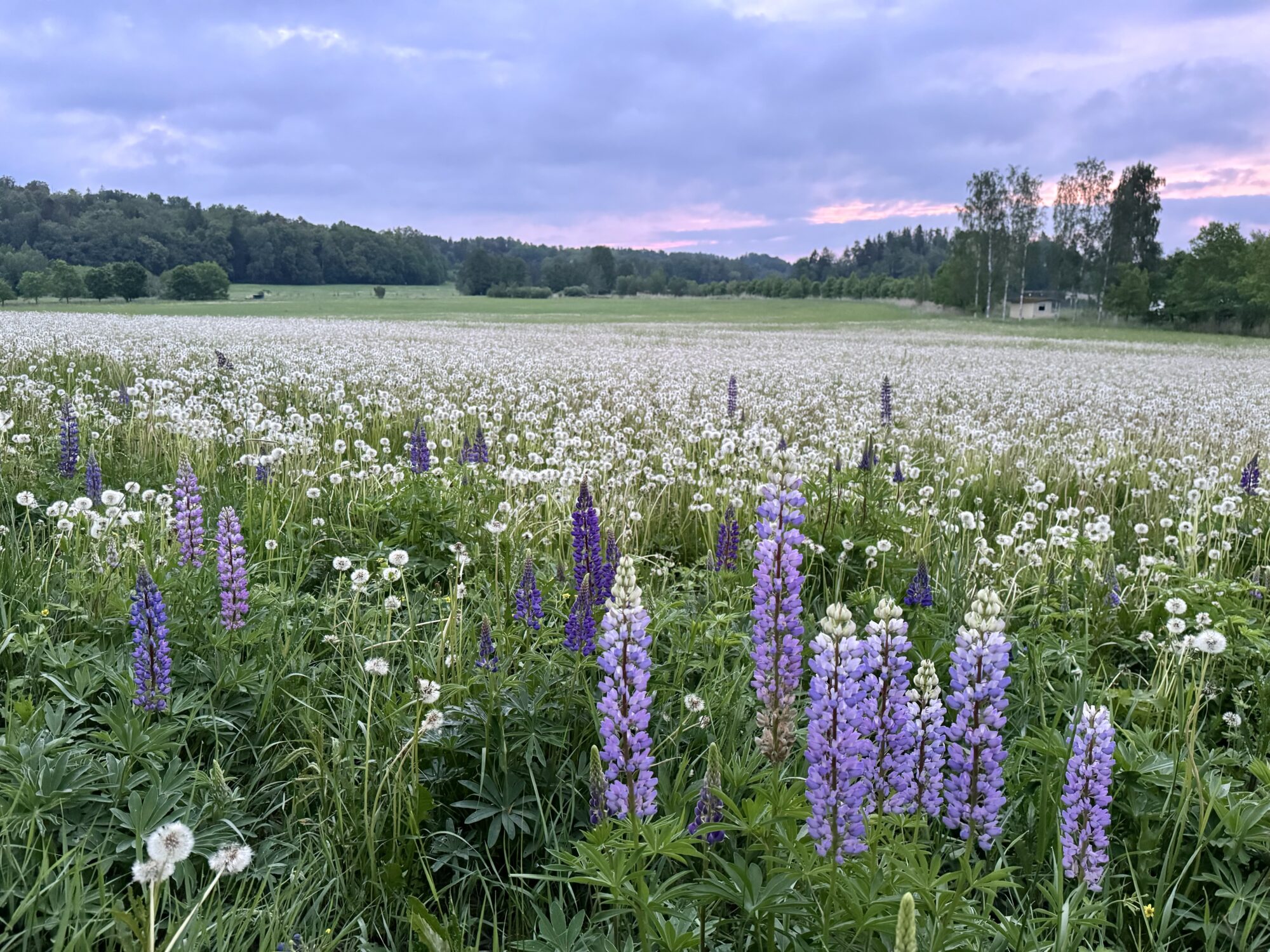 Valokuvaaja: Juhani Peltonen