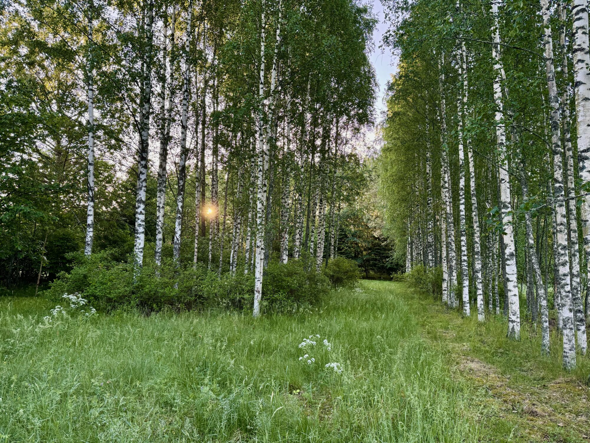 Valokuvaaja: Juhani Peltonen