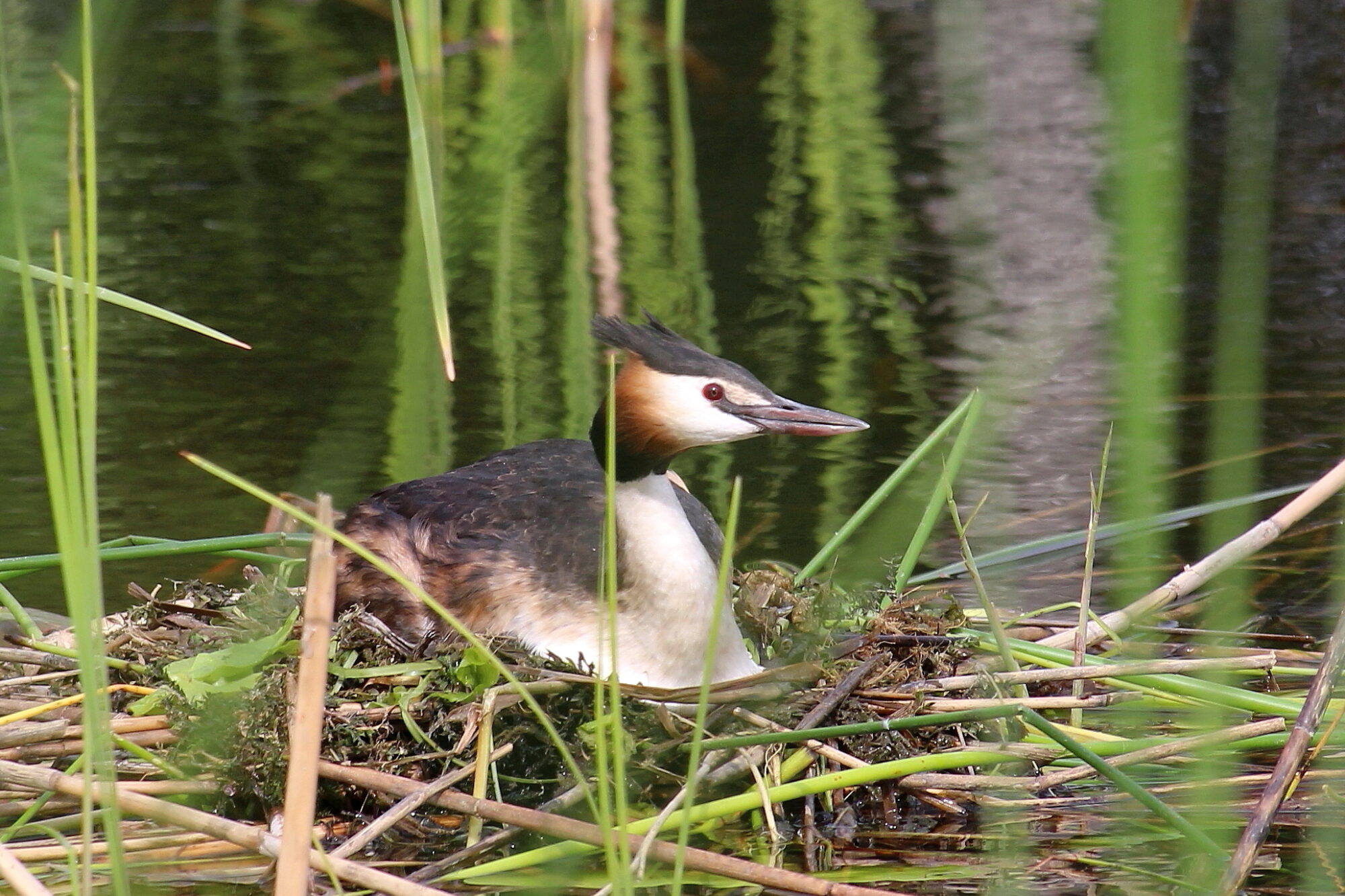 Valokuvaaja: Kirsi-Marja Joenpolvi