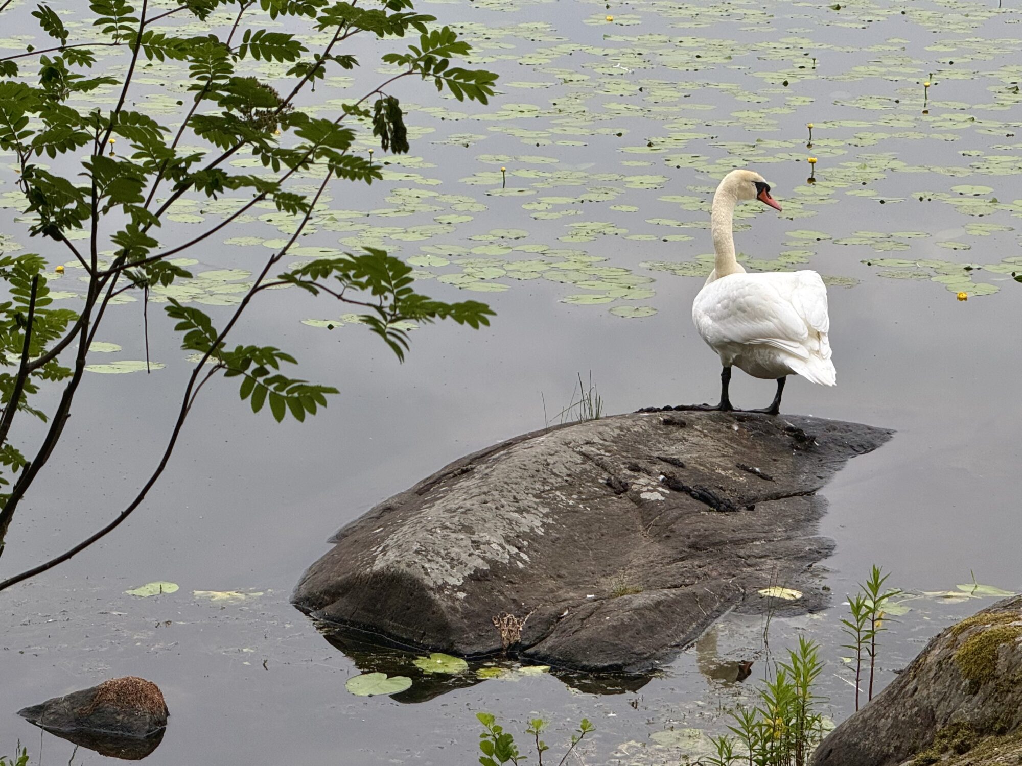 Valokuvaaja: Juhani Peltonen