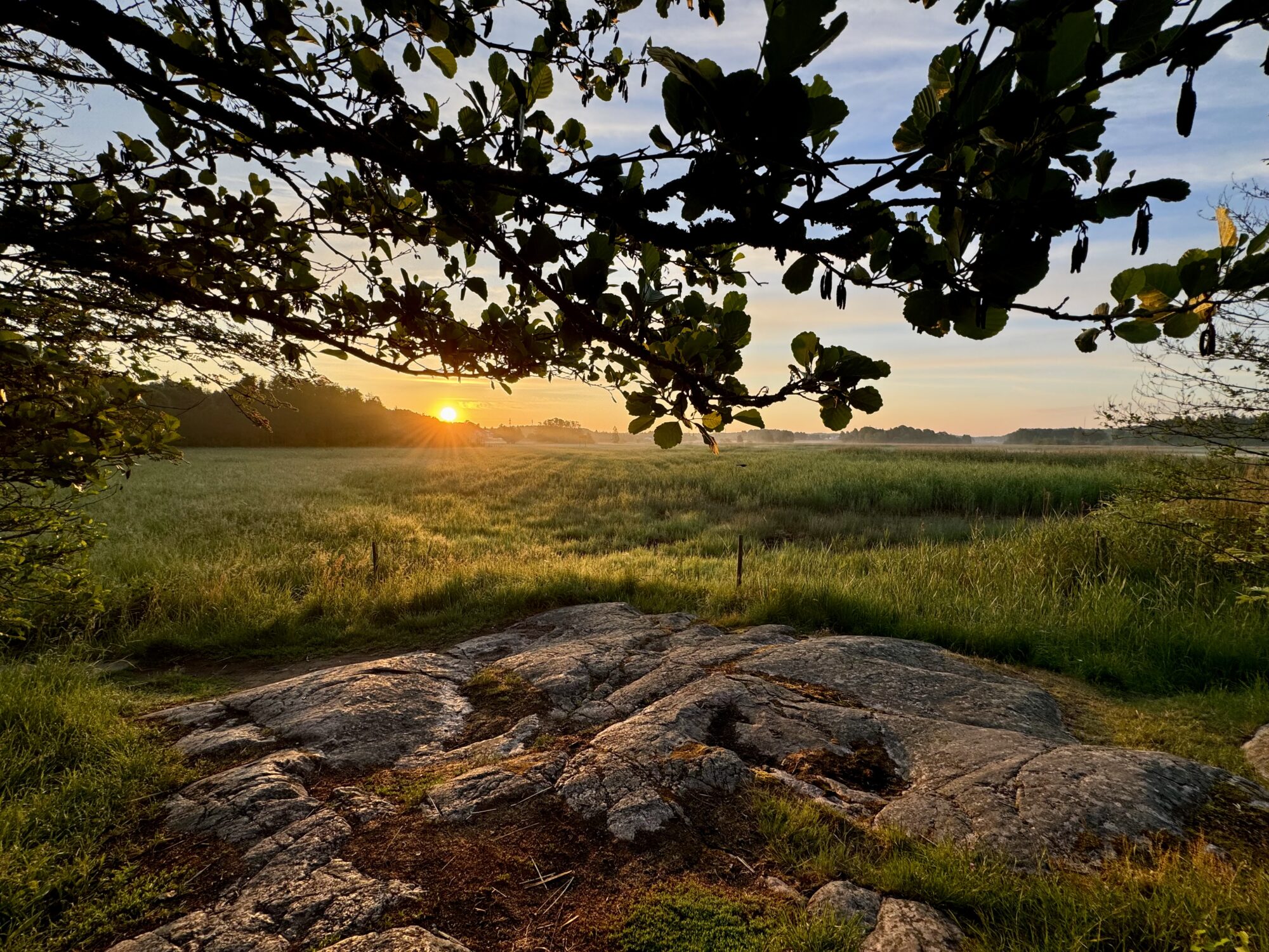 Valokuvaaja: Juhani Peltonen Valokuvaaja: Juhani Peltonen