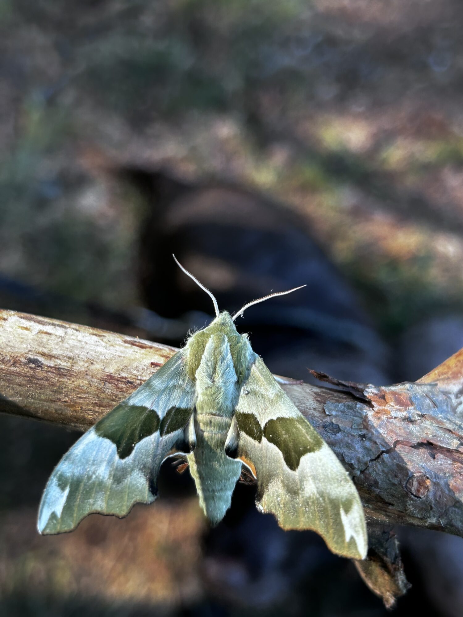 Valokuvaaja: Mika Ronkainen