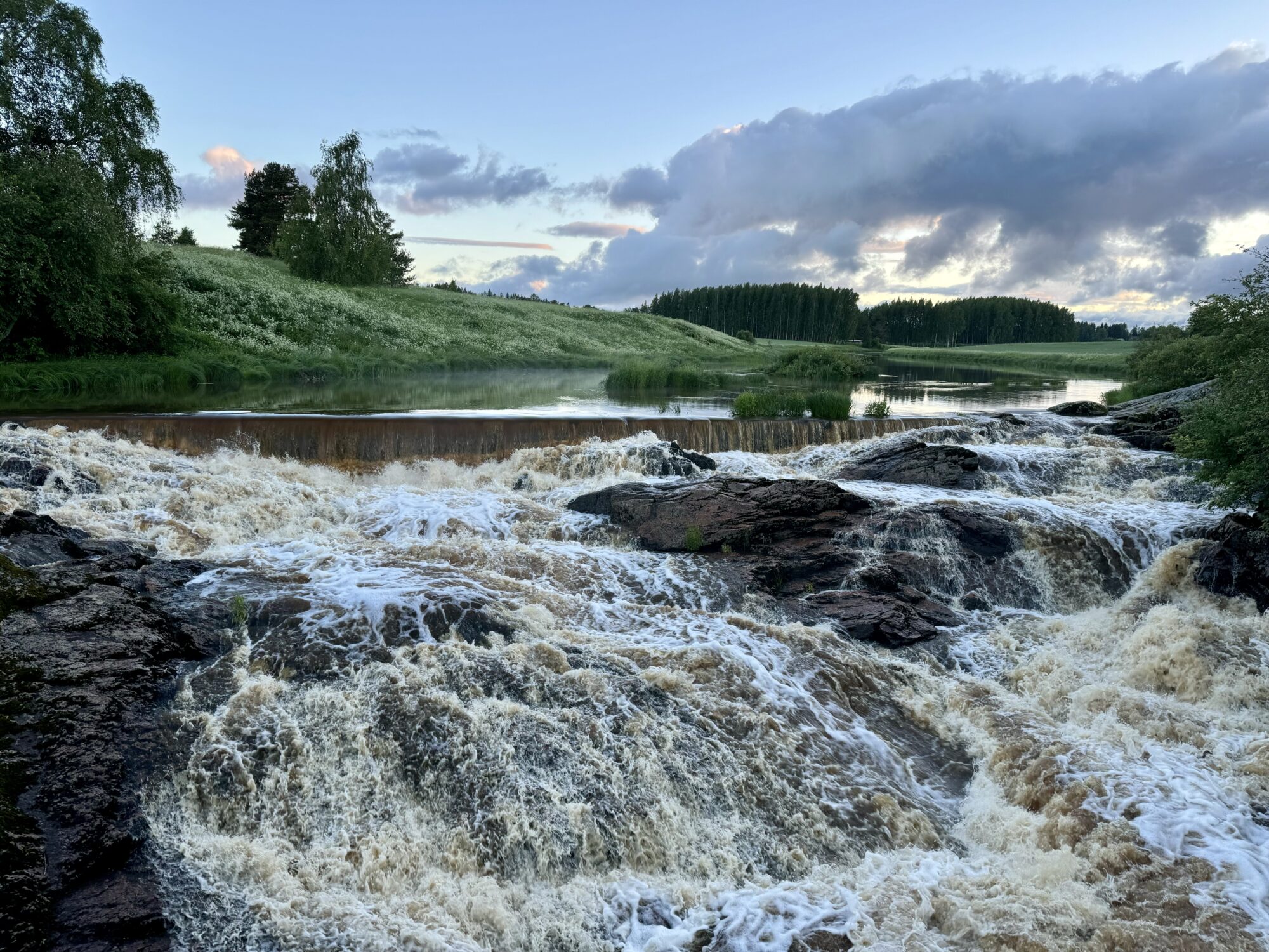 Valokuvaaja: Juhani Peltonen