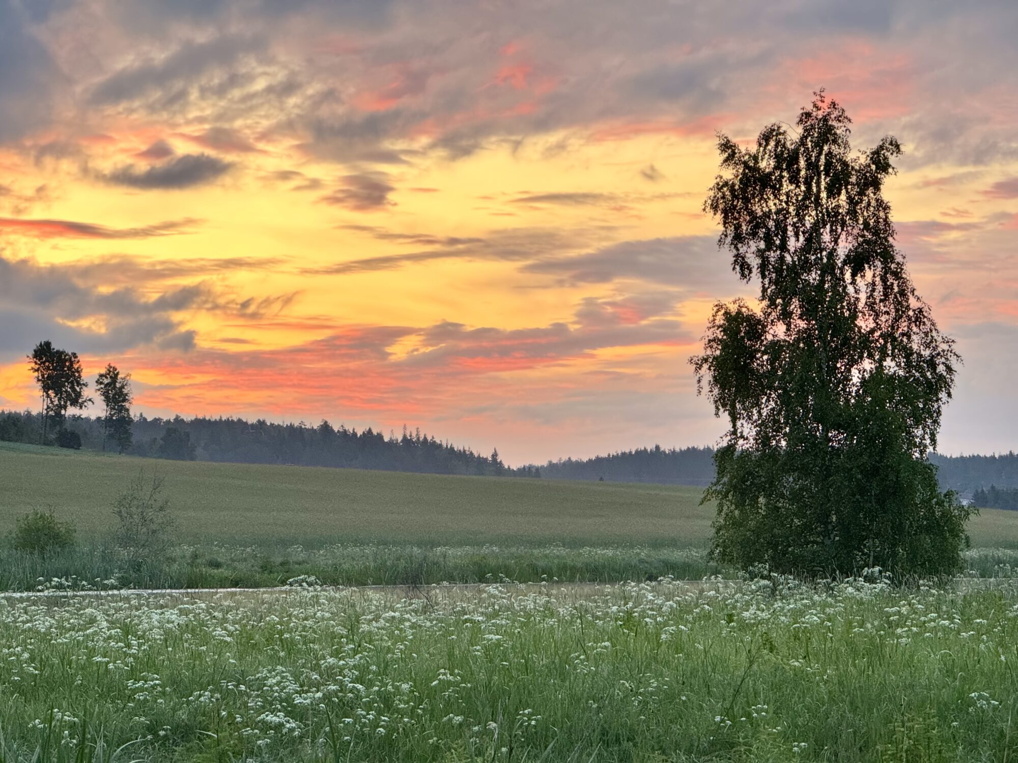 Valokuvaaja: Juhani Peltonen