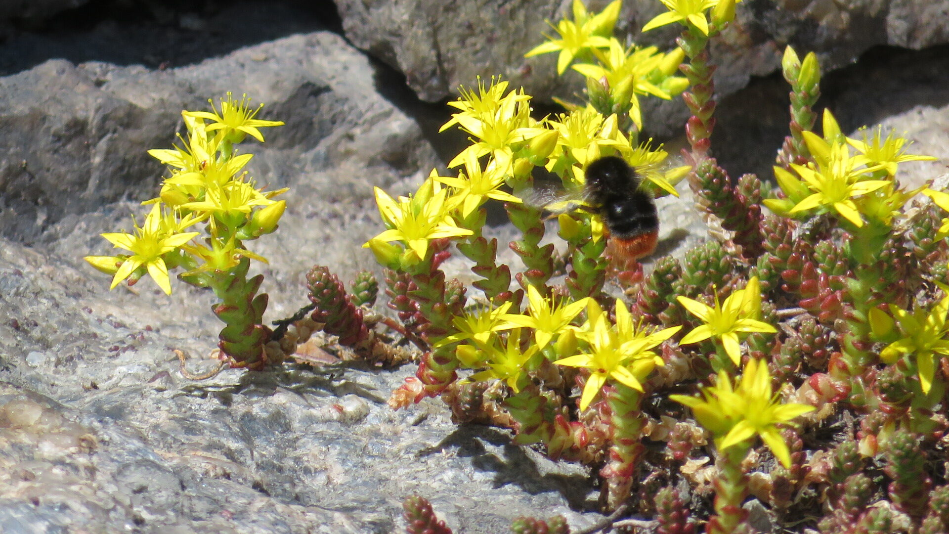 Valokuvaaja: Risto Kangassalo