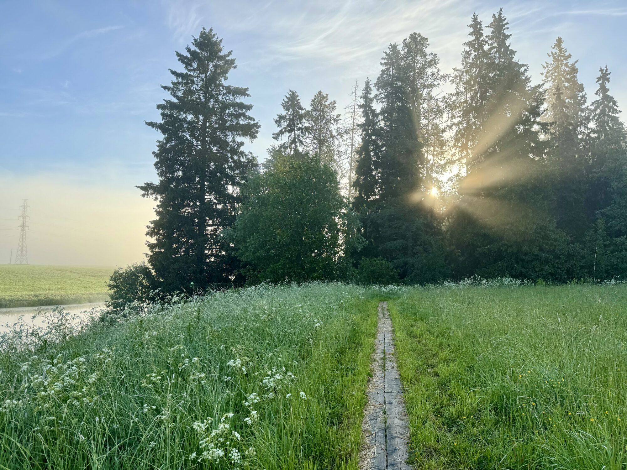 Valokuvaaja: Juhani Peltonen