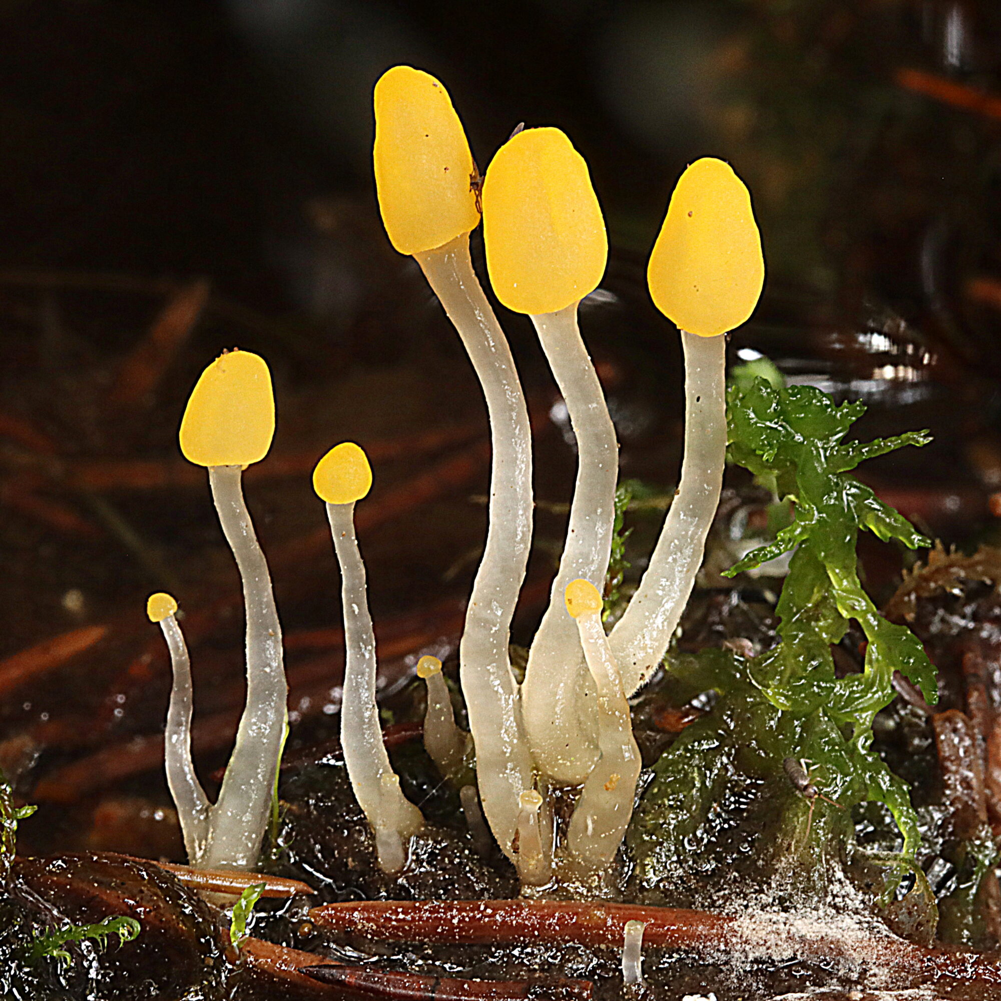 Valokuvaaja: Hannu Rasiranta Valokuvaaja: Hannu Rasiranta