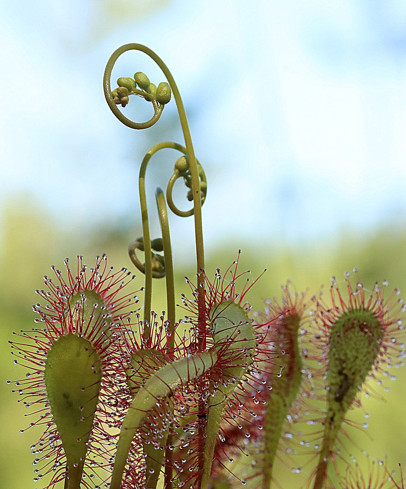 Valokuvaaja: Hannu Rasiranta