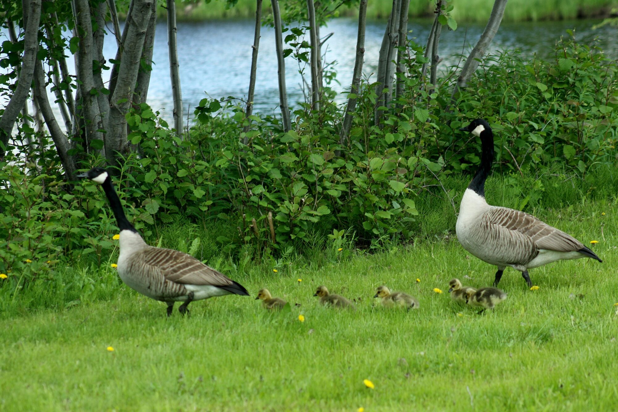 Valokuvaaja: Pirkko Siukonen