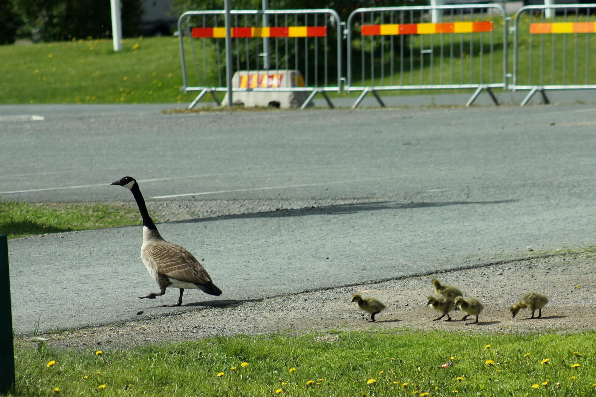 Valokuvaaja: Pirkko Siukonen