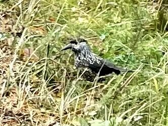 Valokuvaaja: Anne Nikula