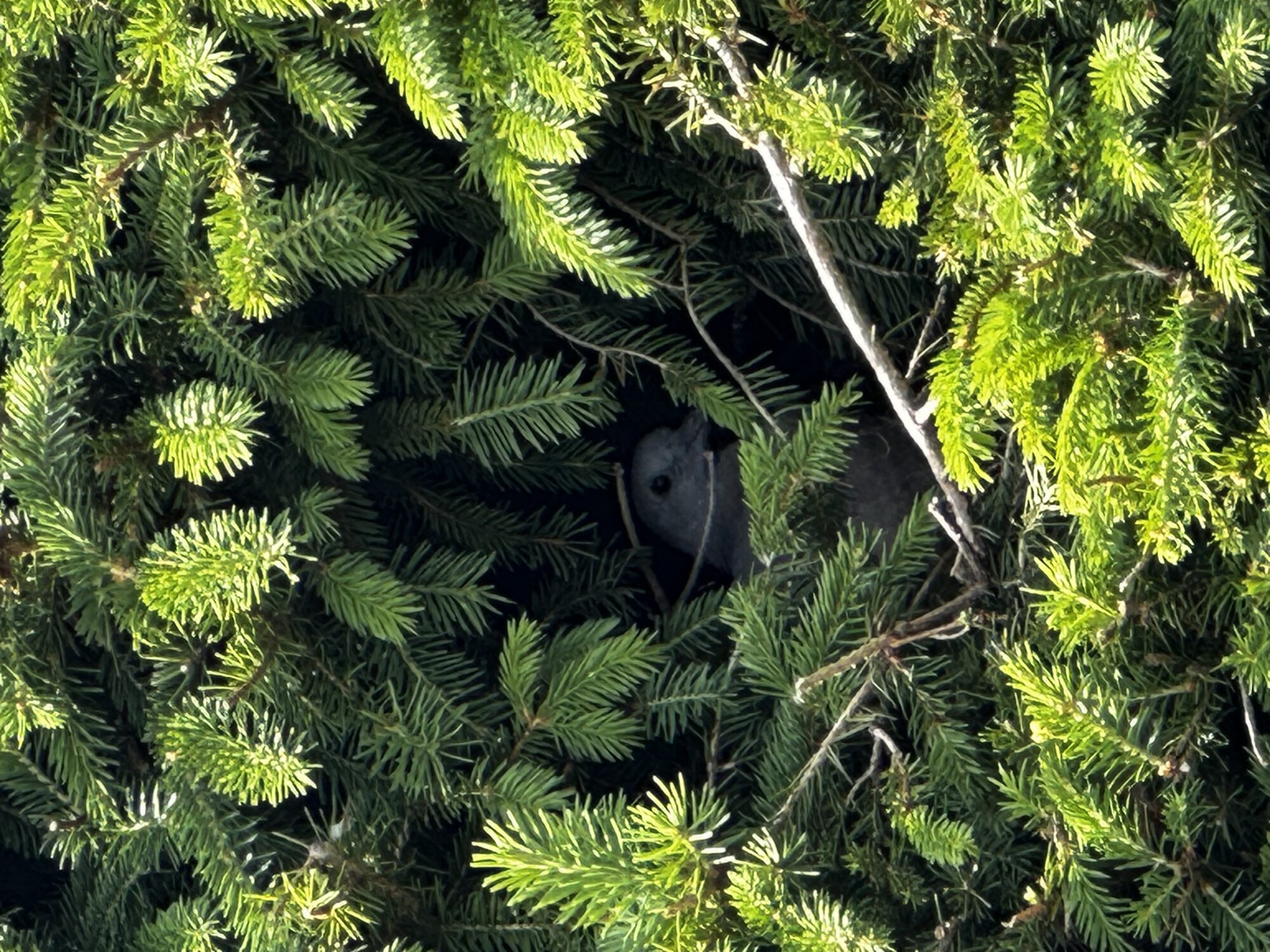 Valokuvaaja: Marita Länsmans