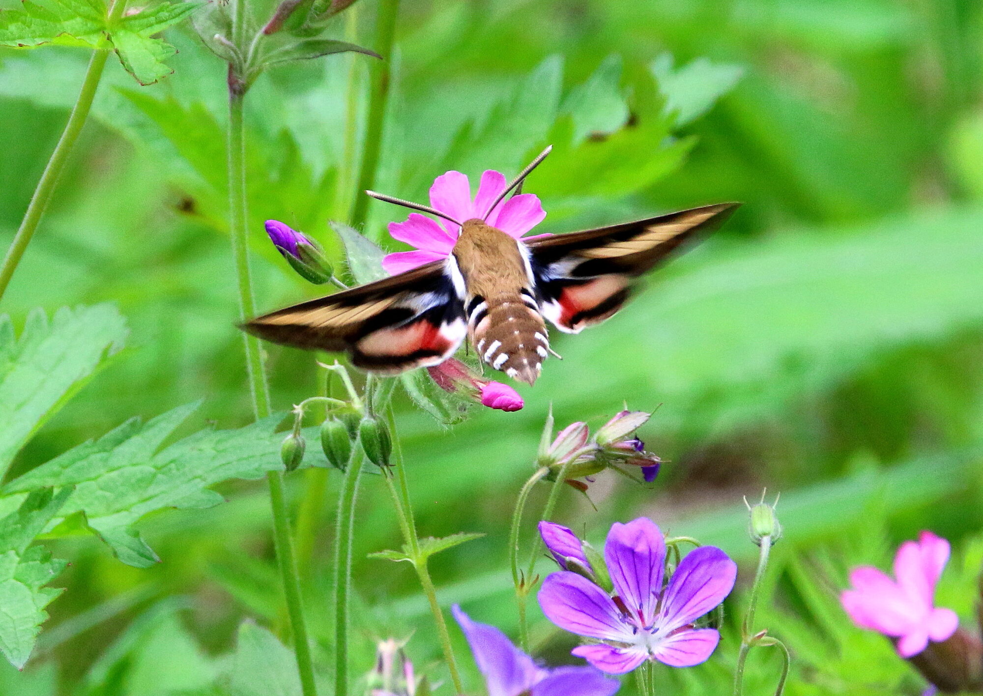 Valokuvaaja: Tuukka Pahtamaa