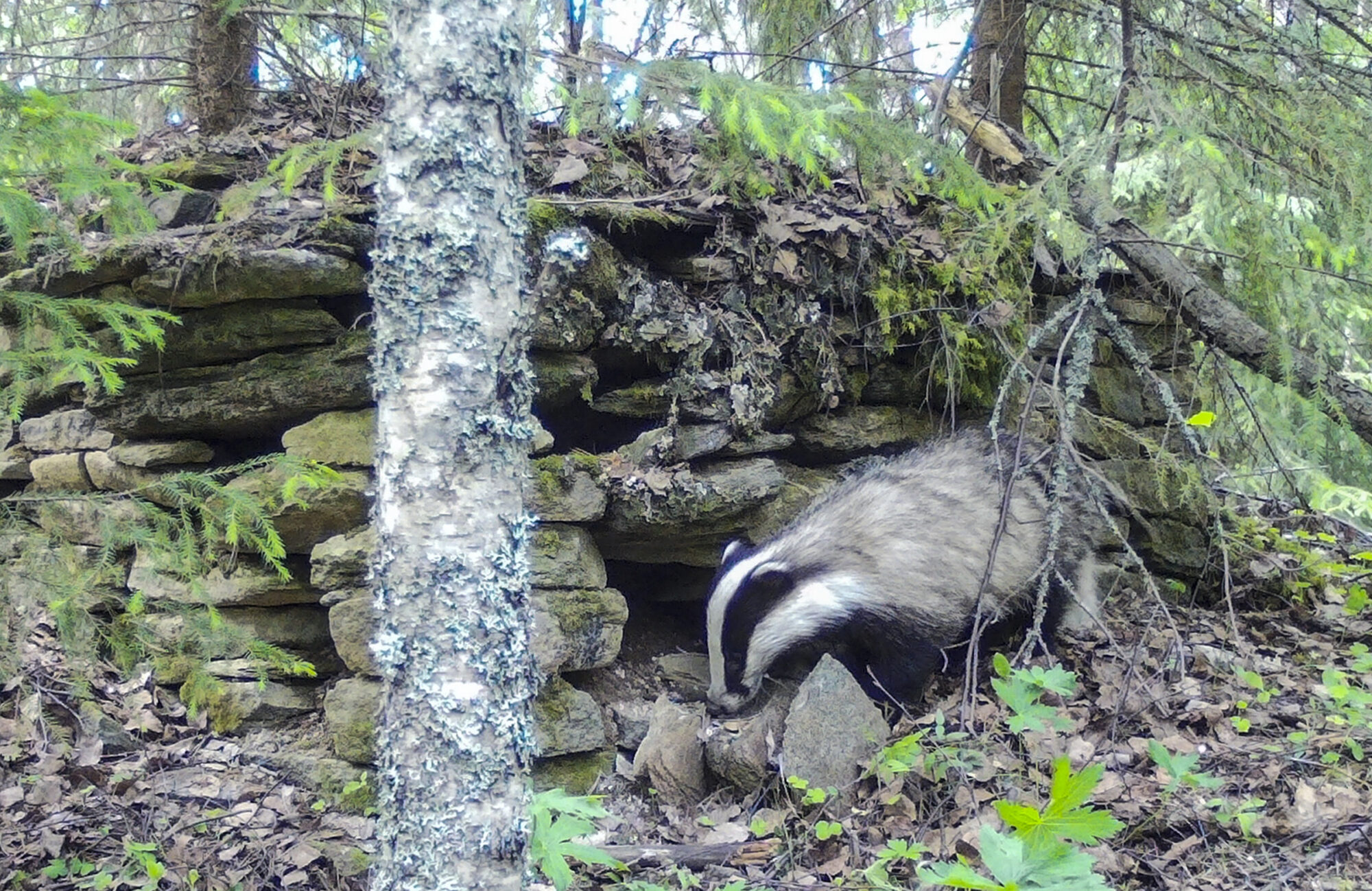 Valokuvaaja: Hannu Tikkanen
